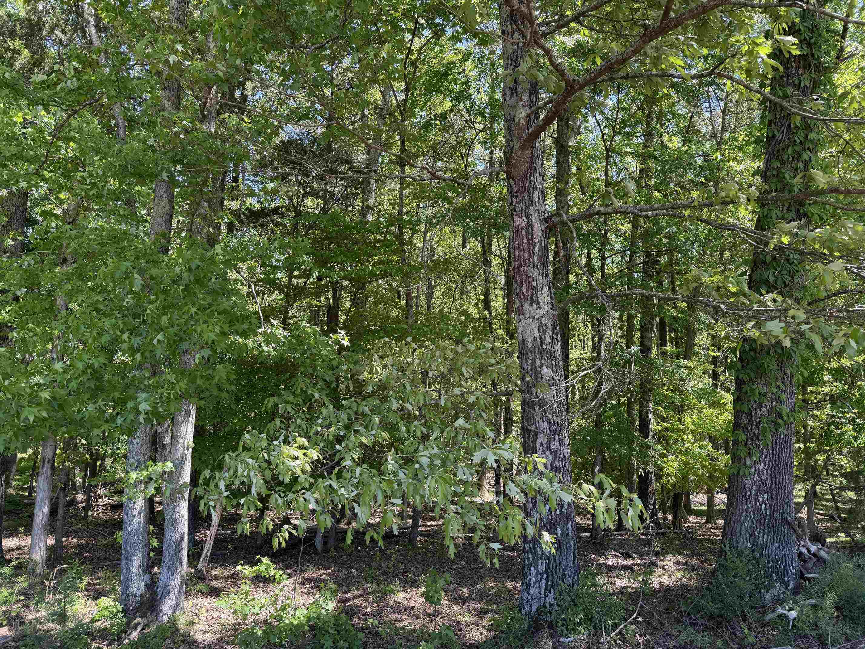 2 Saltillo Rd Property Photo 33