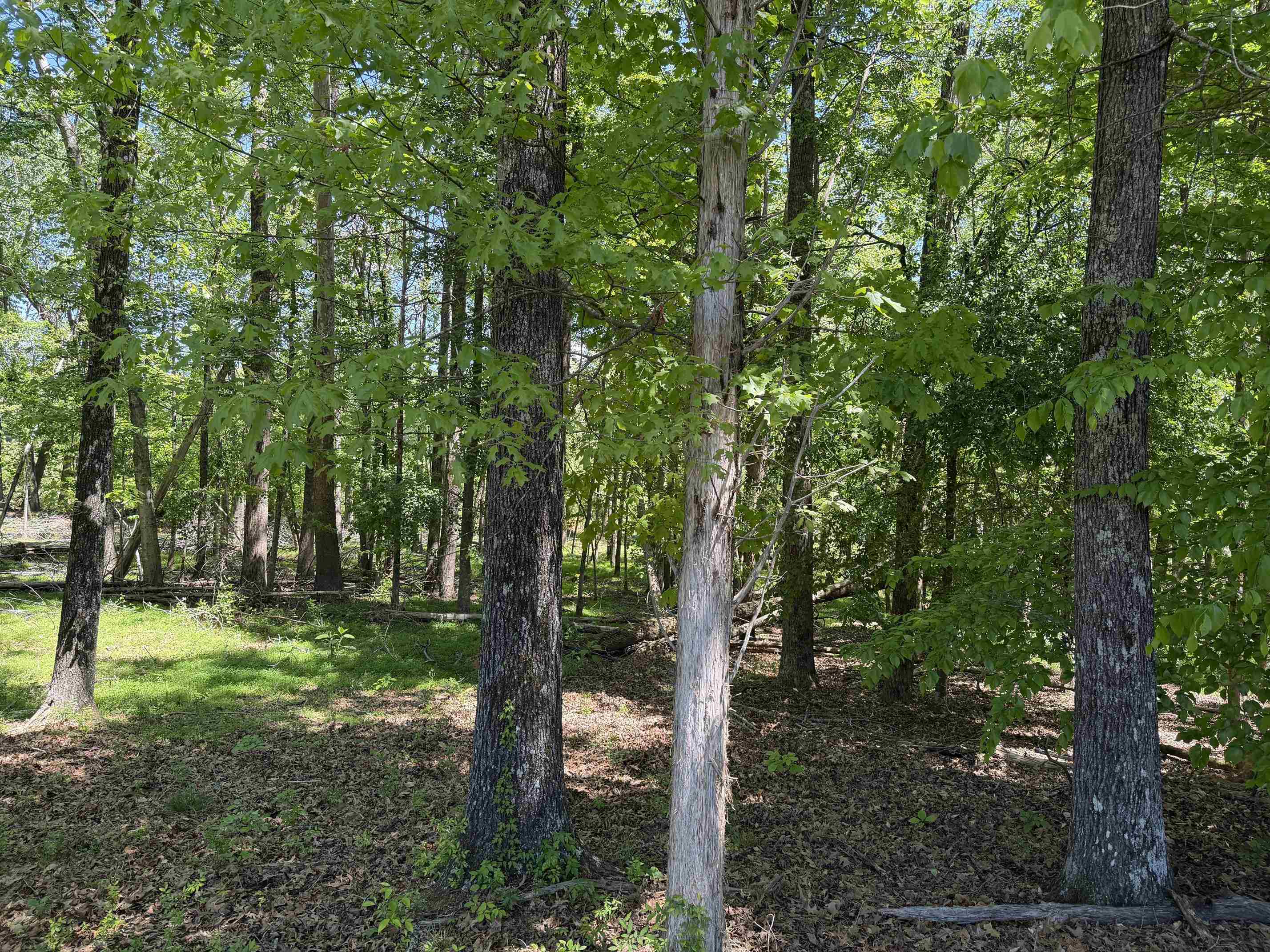 2 Saltillo Rd Property Photo 35
