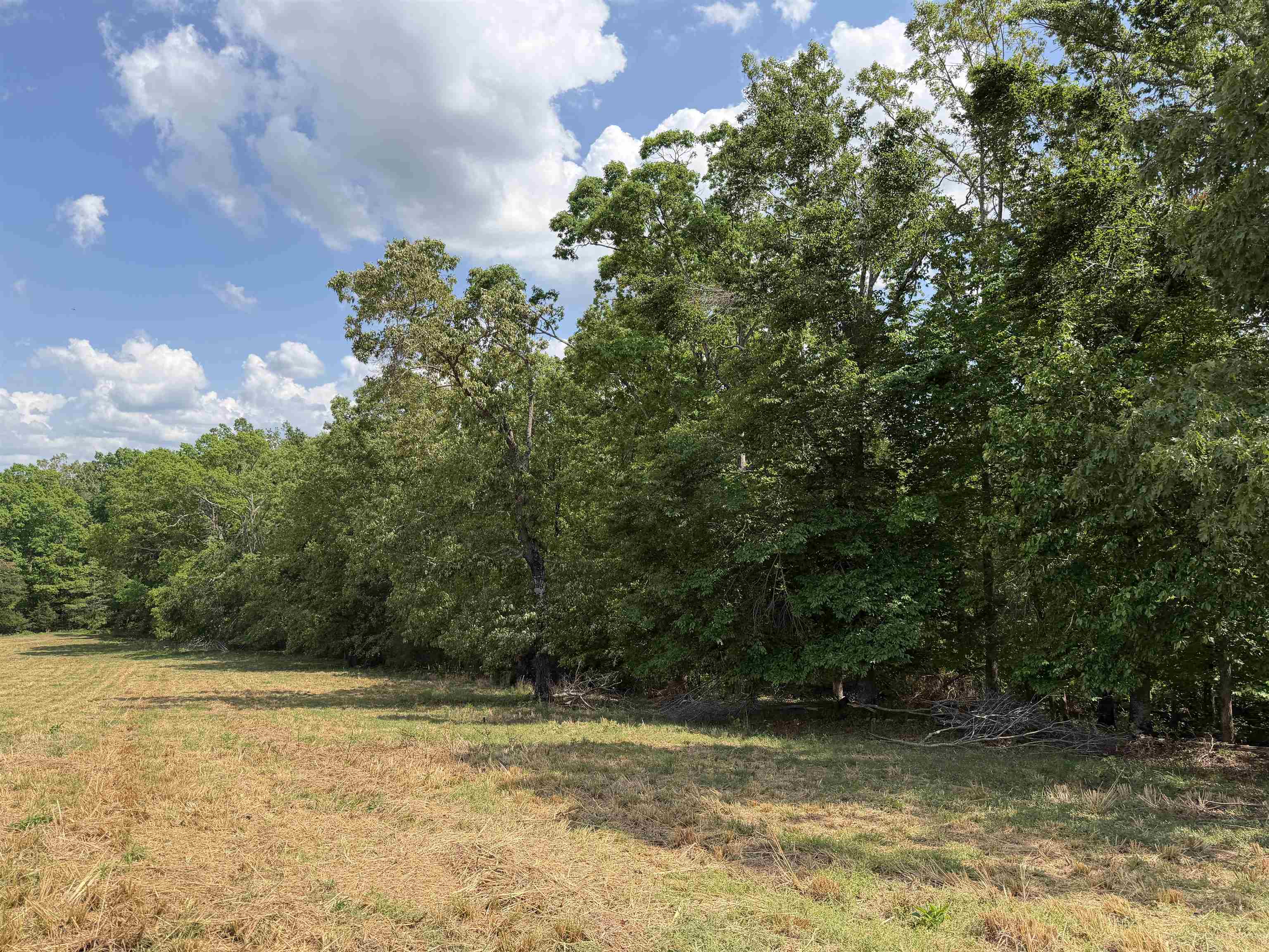 3 Saltillo Rd Property Photo 14