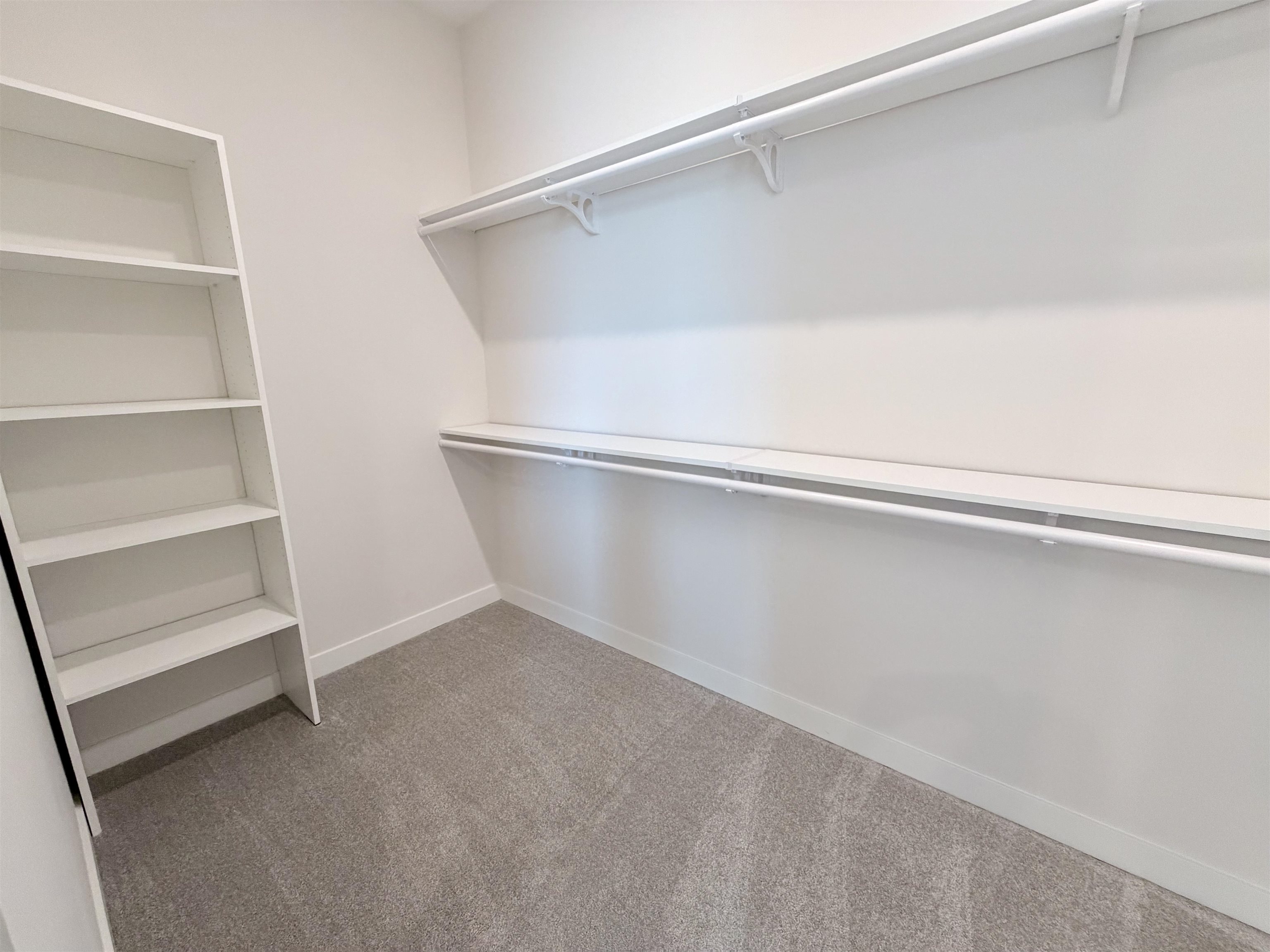 10283 Louanne Dr Property Photo 13