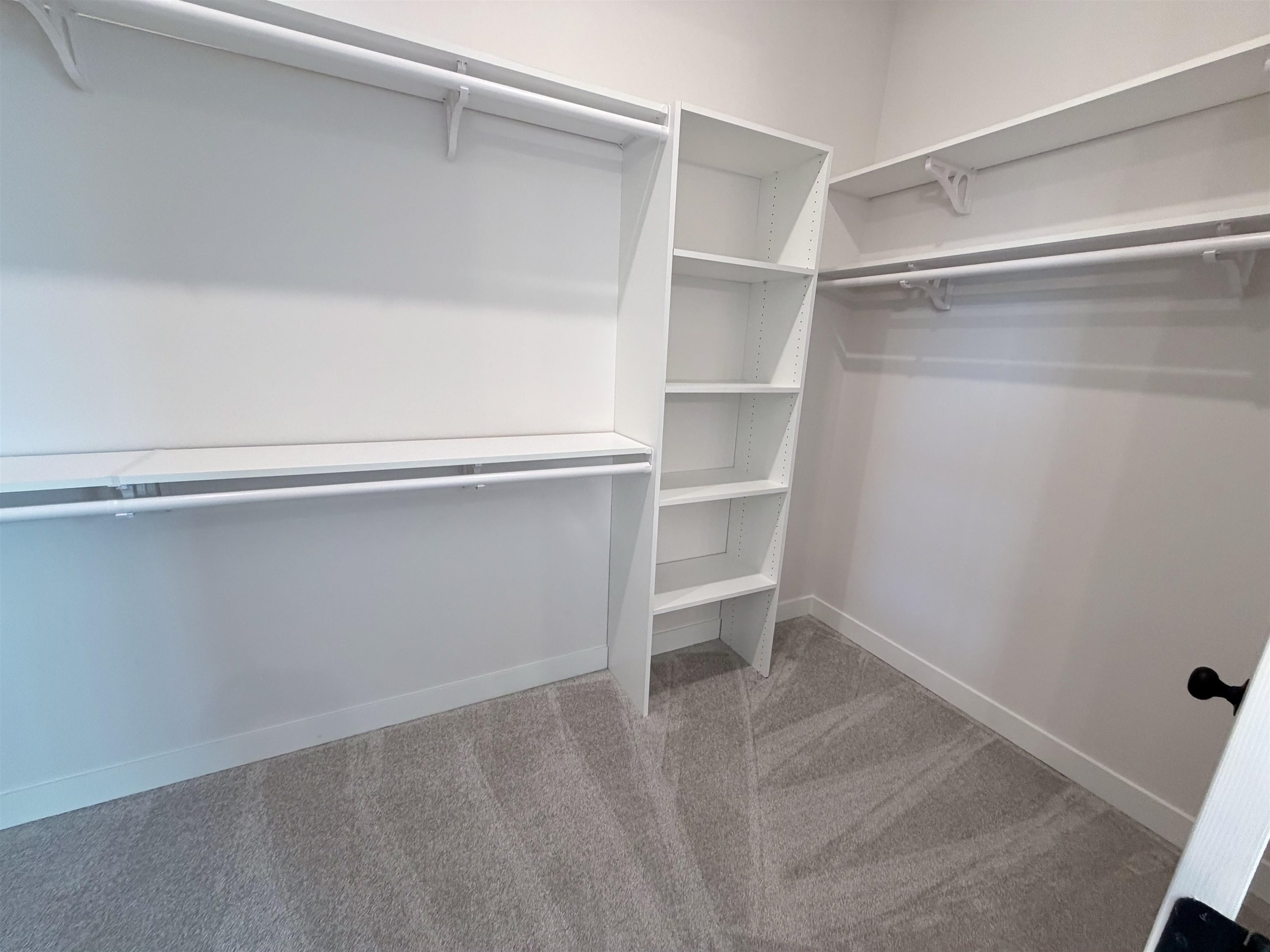 10283 Louanne Dr Property Photo 19