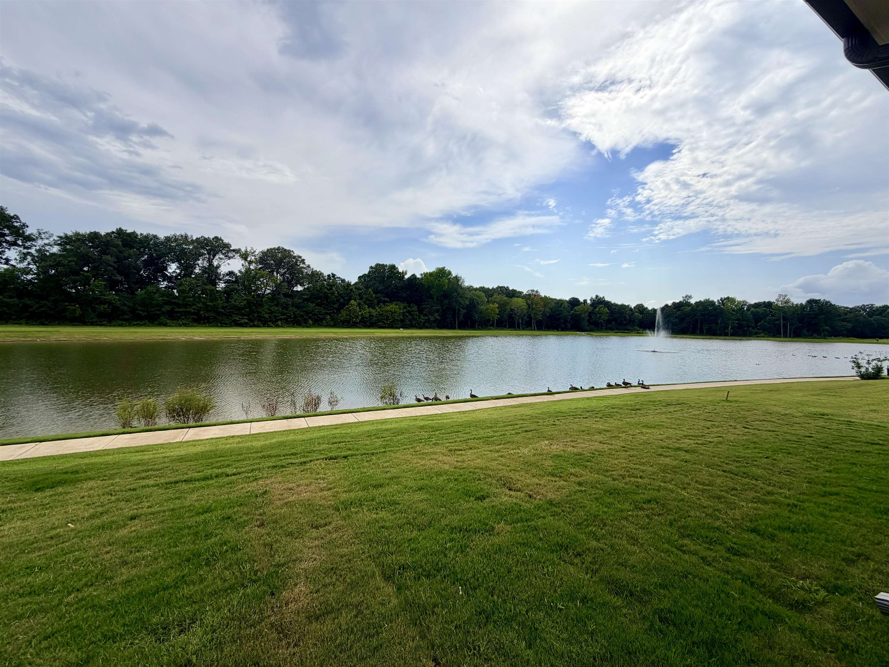 10283 Louanne Dr Property Photo 32
