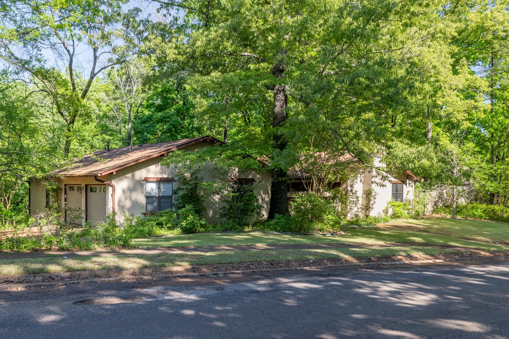 35 Vine Grove Ln Property Photo 3