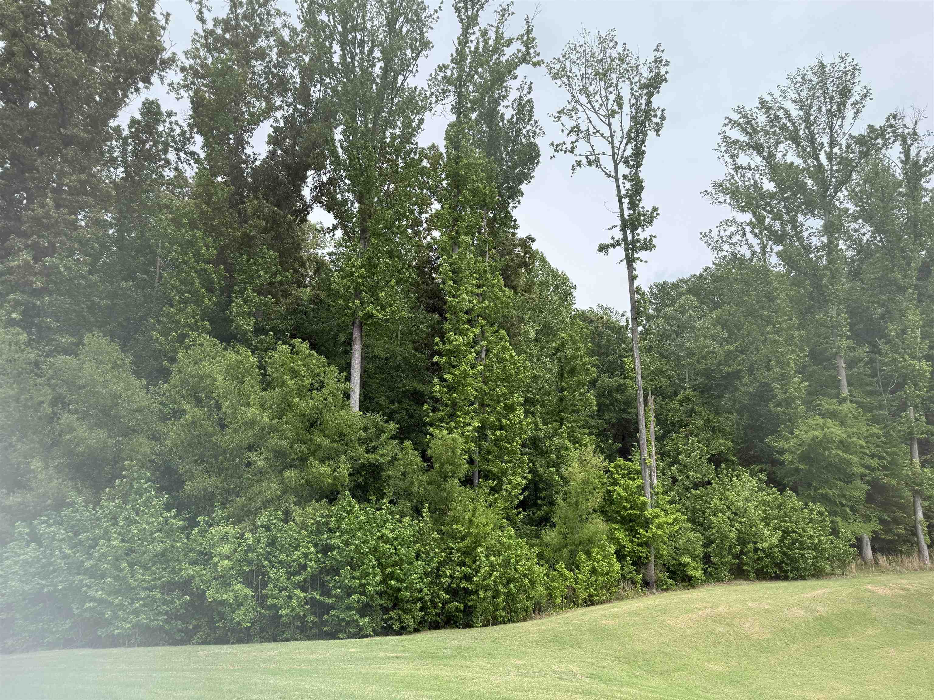 0 WINDWAY DR Property Photo 1