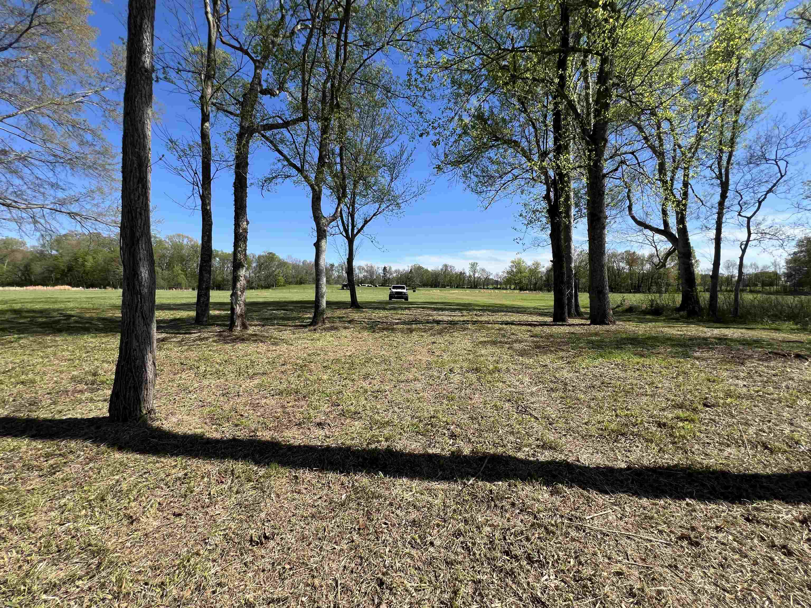 6 Caden Cv Property Photo 25