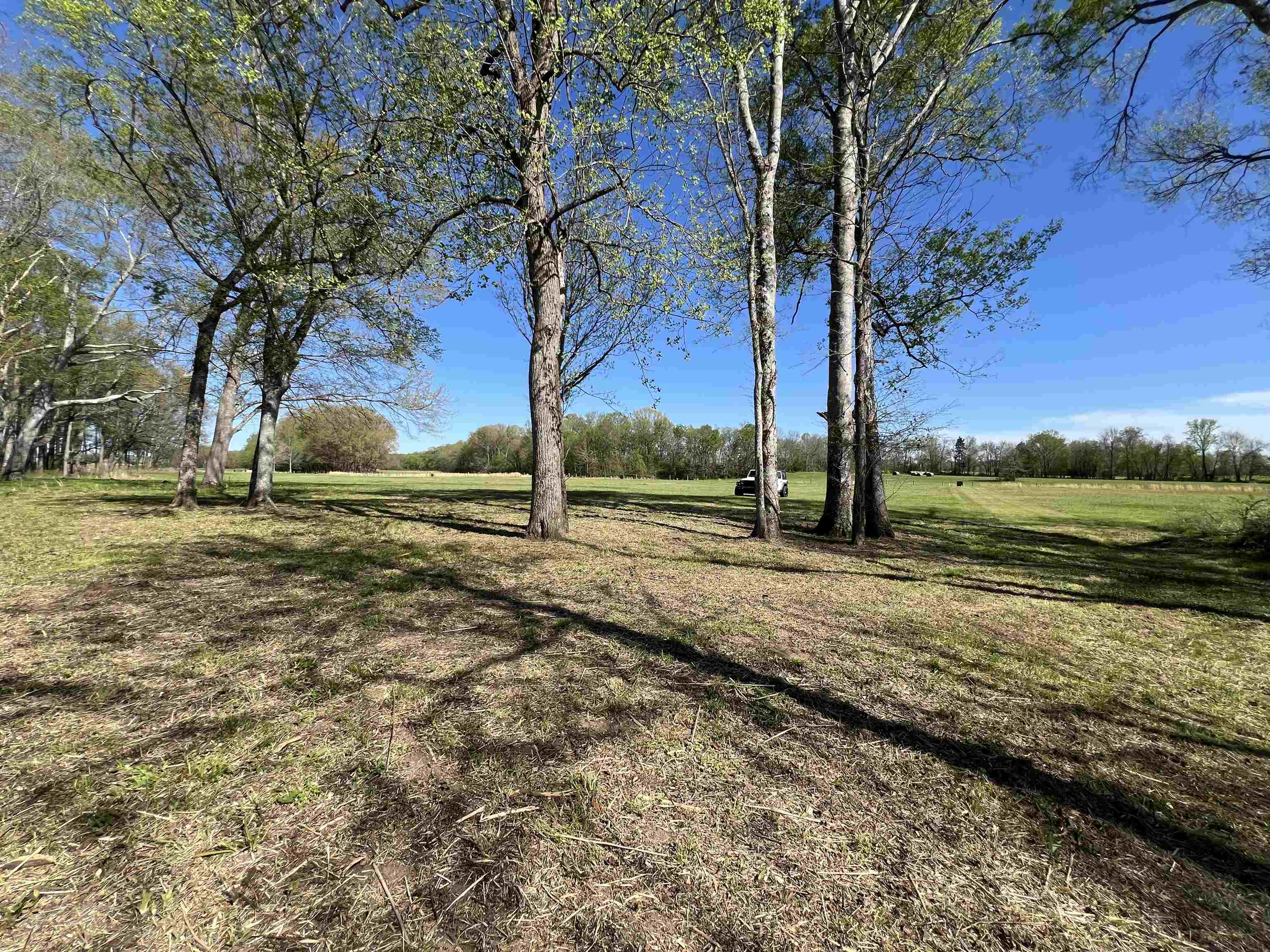 6 Caden Cv Property Photo 27