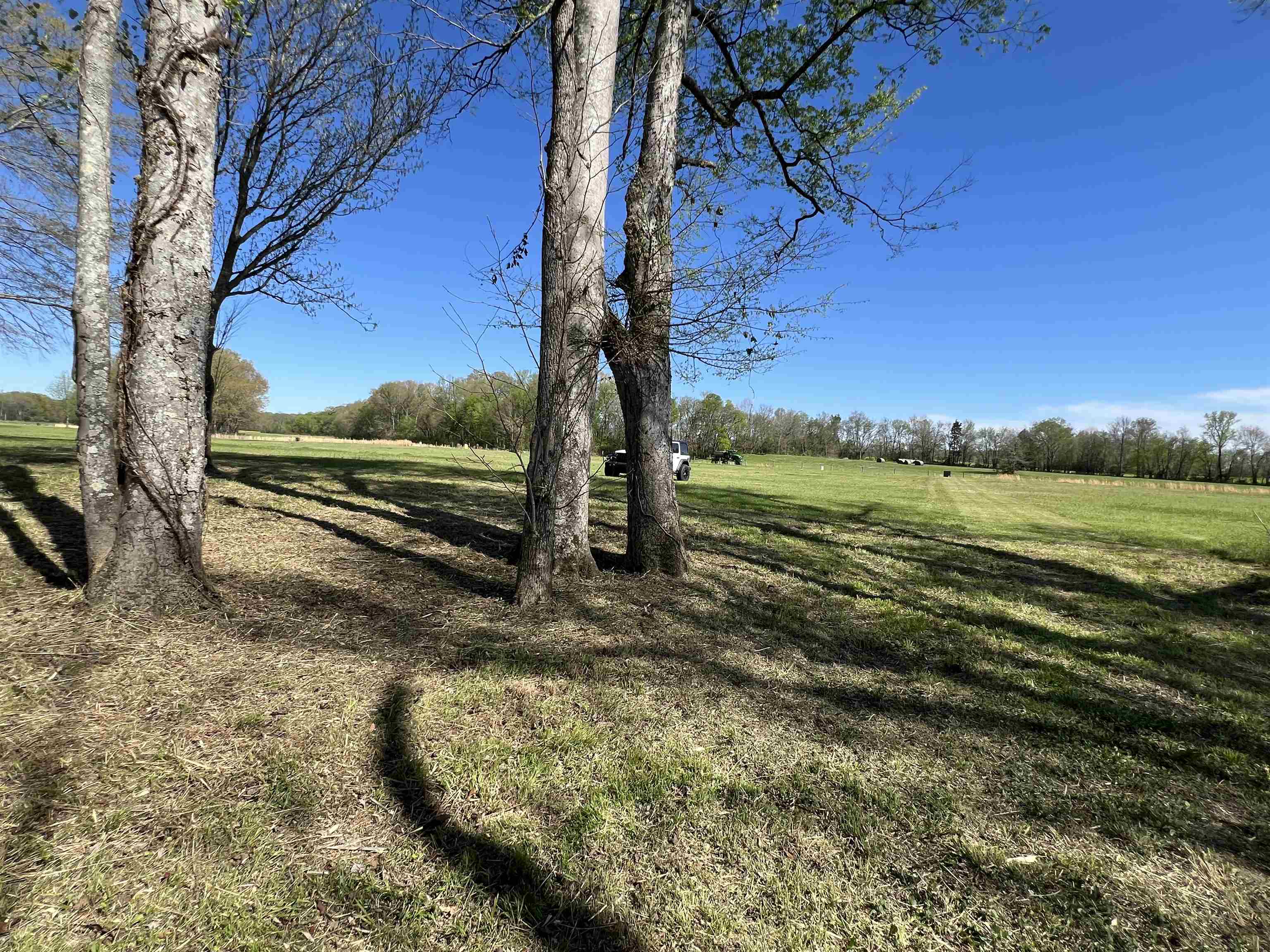 6 Caden Cv Property Photo 28
