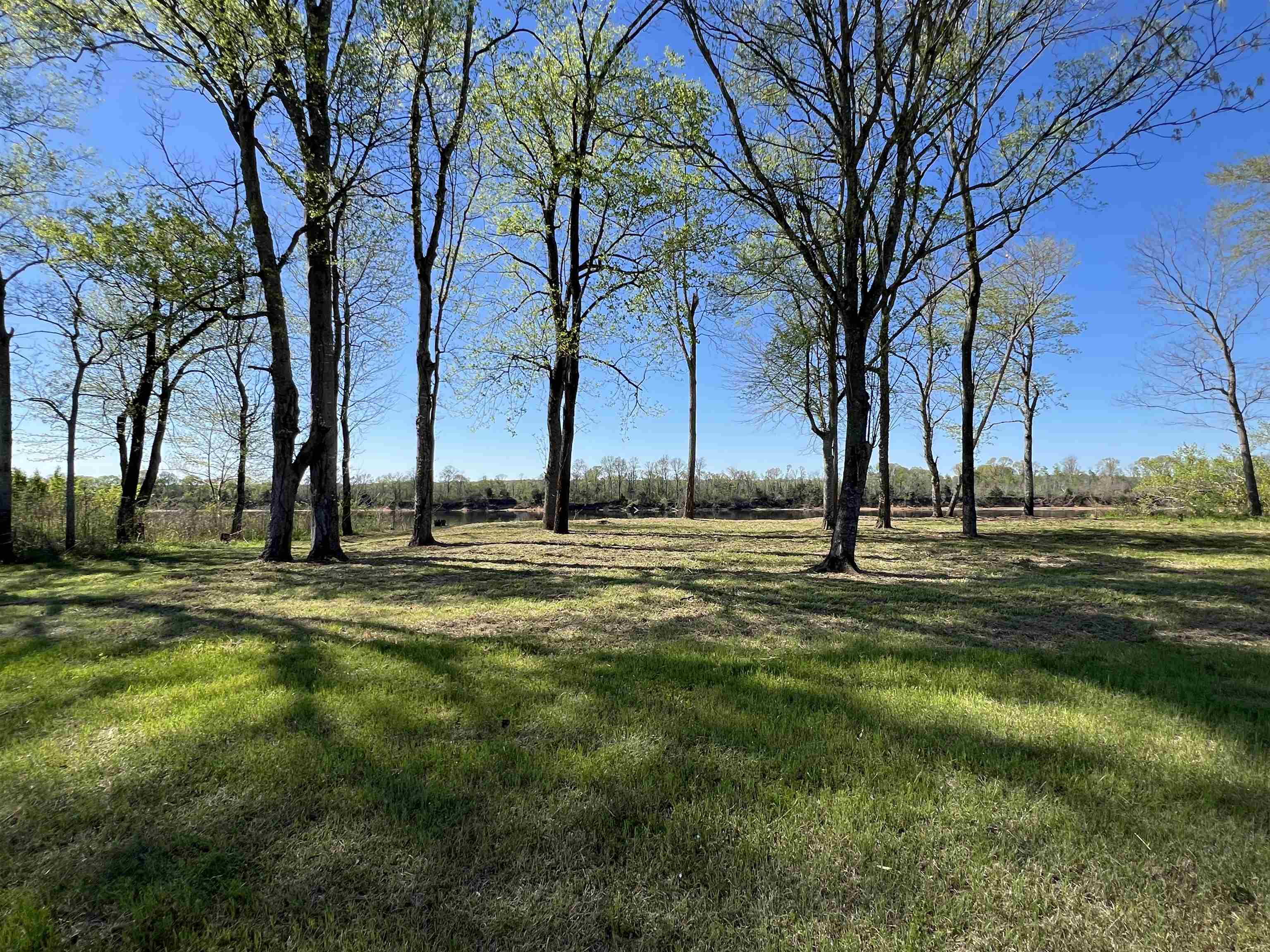 6 Caden Cv Property Photo 29