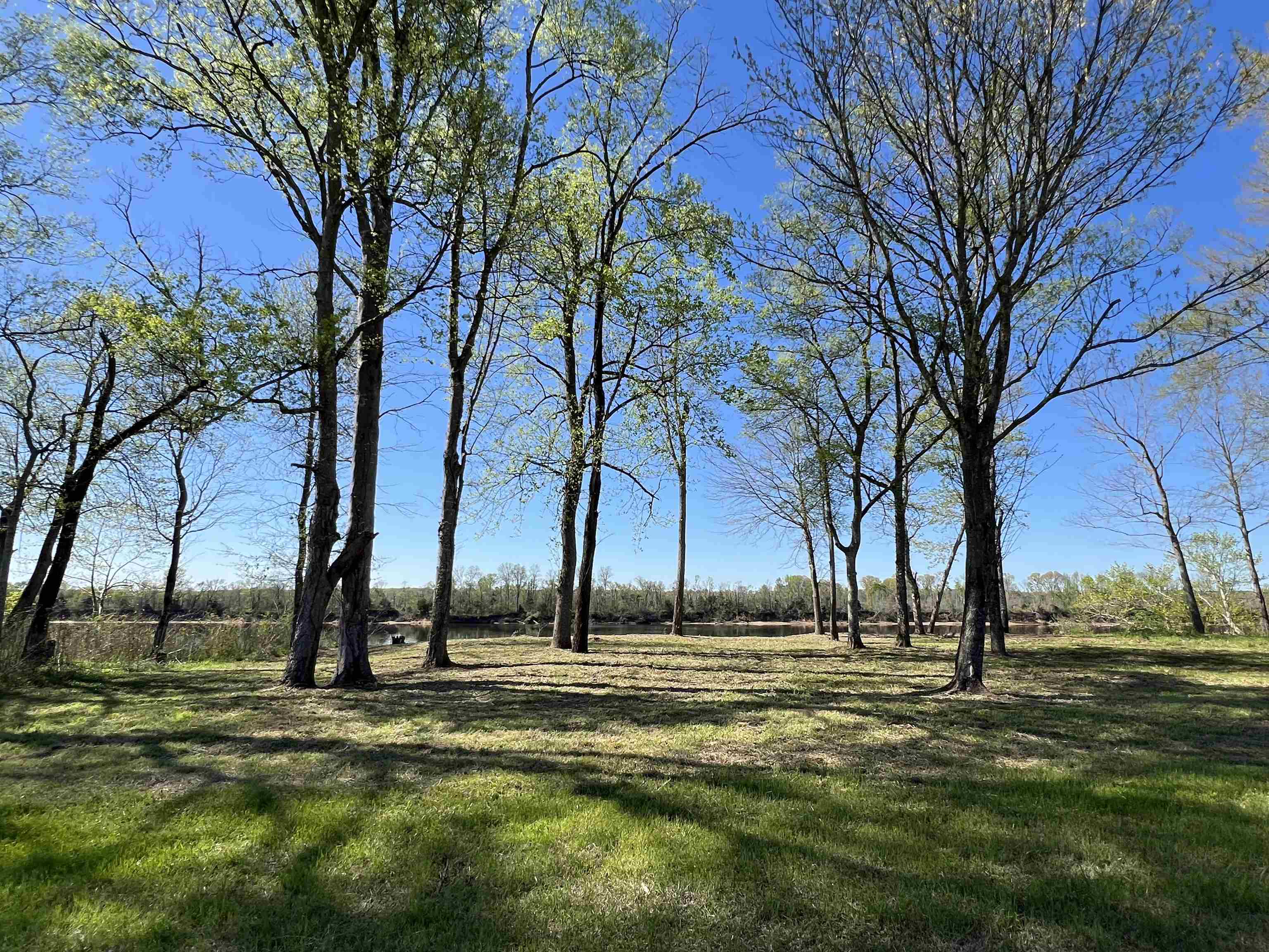 6 Caden Cv Property Photo 31