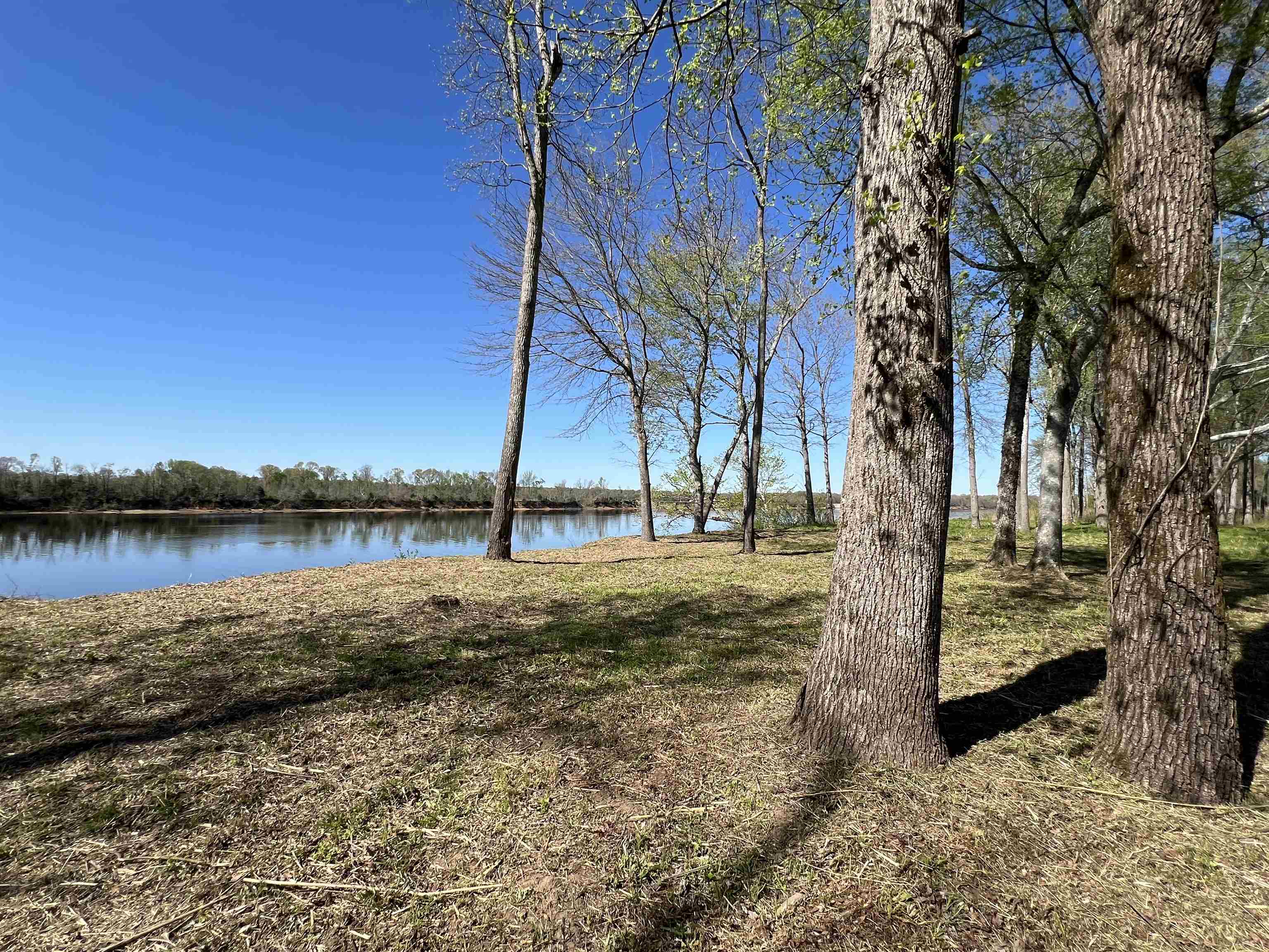 6 Caden Cv Property Photo 33