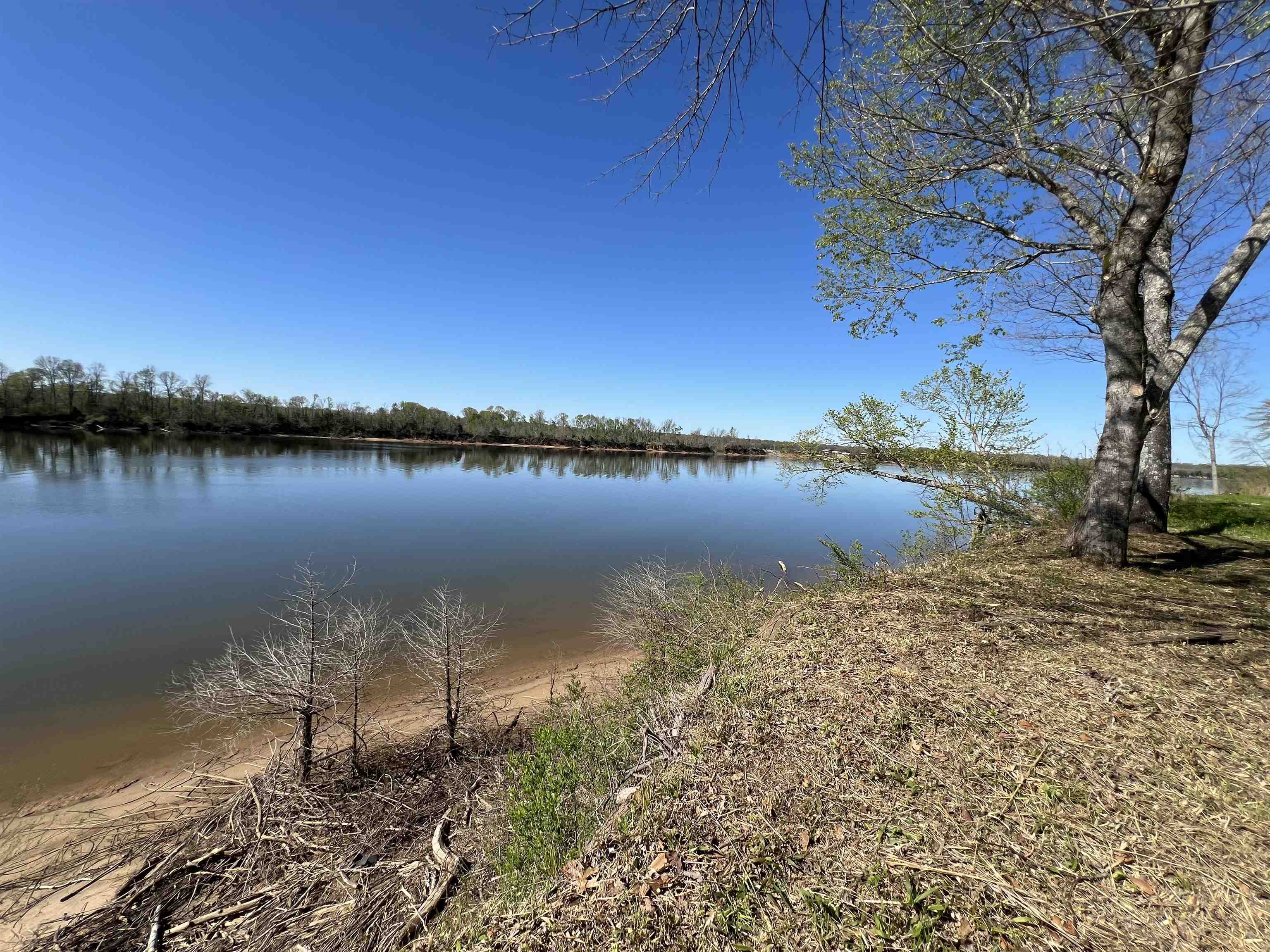 6 Caden Cv Property Photo 35