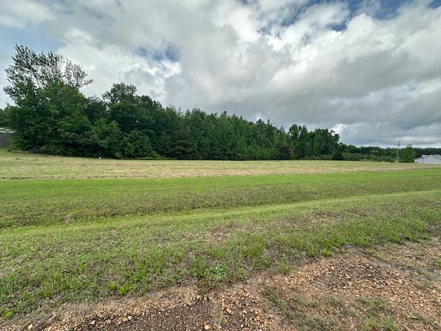 000 Pear Blossom Ln Property Photo 2