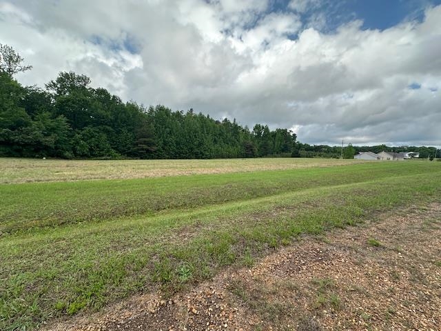 000 Pear Blossom Ln Property Photo 3