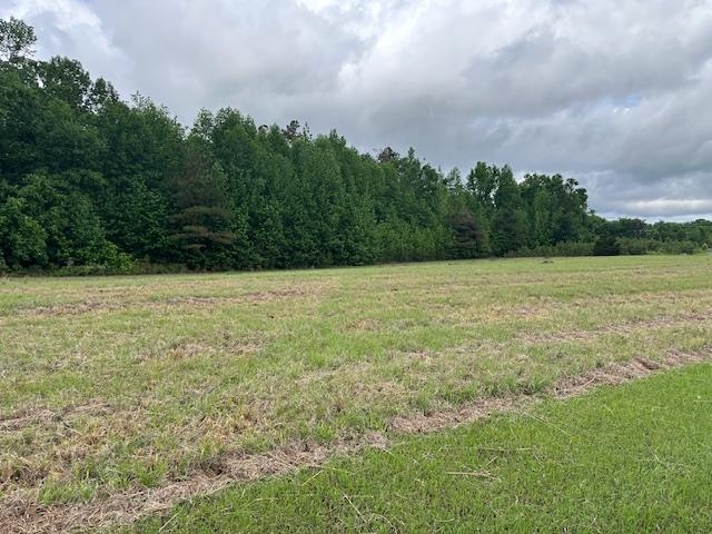 000 Pear Blossom Ln Property Photo 5