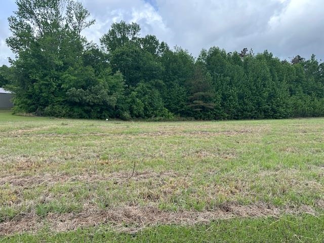 000 Pear Blossom Ln Property Photo 6