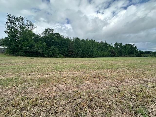 000 Pear Blossom Ln Property Photo 8