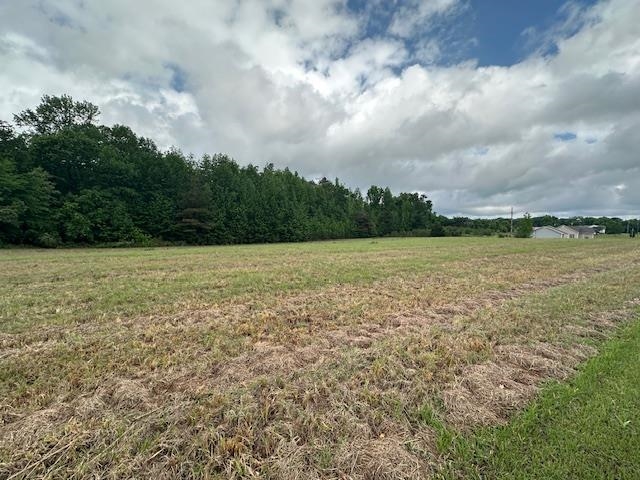 000 Pear Blossom Ln Property Photo 9