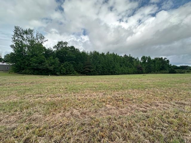 000 Pear Blossom Ln Property Photo 10
