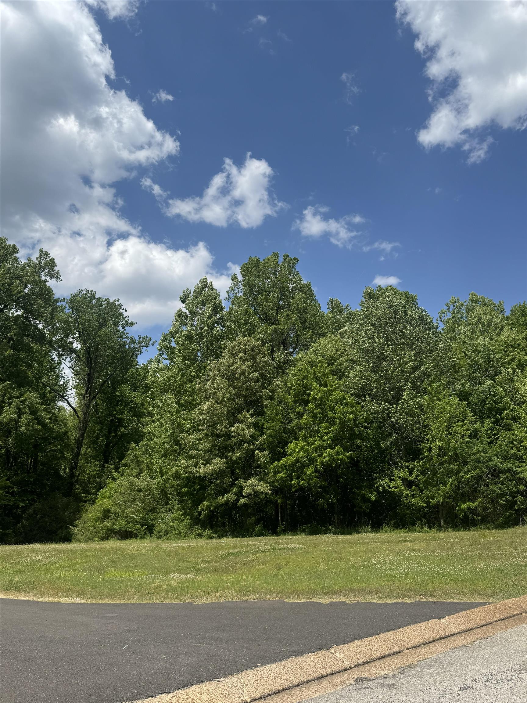 360 Nicolet Dr Property Photo 3