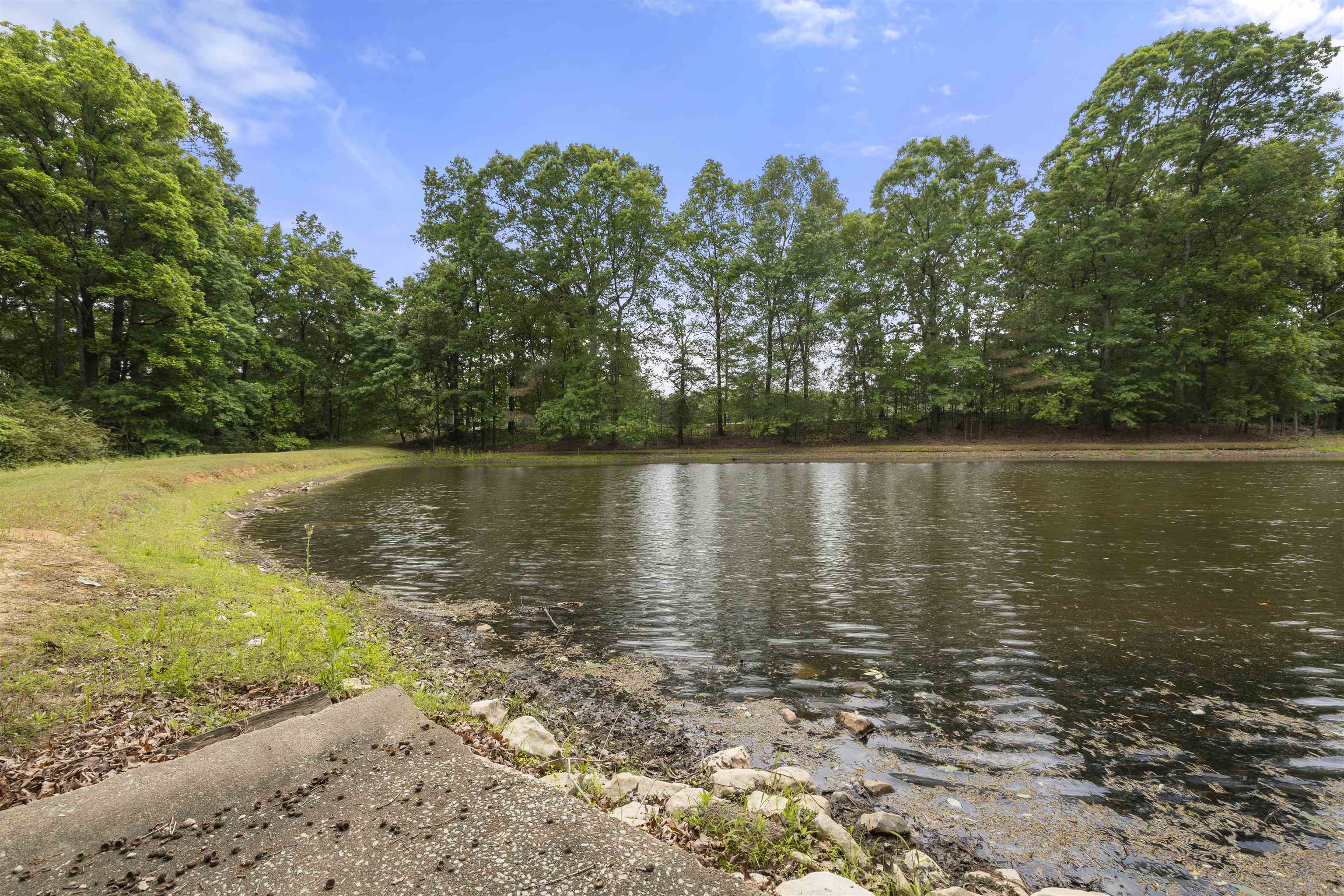 1120 Mcfadden Dr Property Photo 7