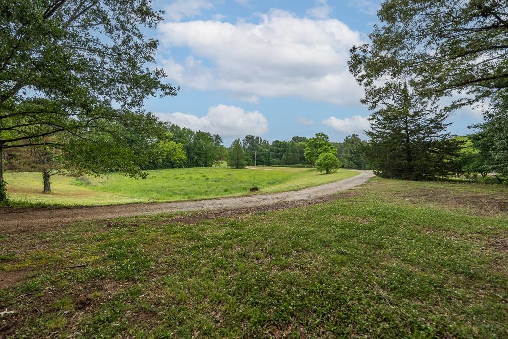 6667 Star Landing Rd Property Photo 39