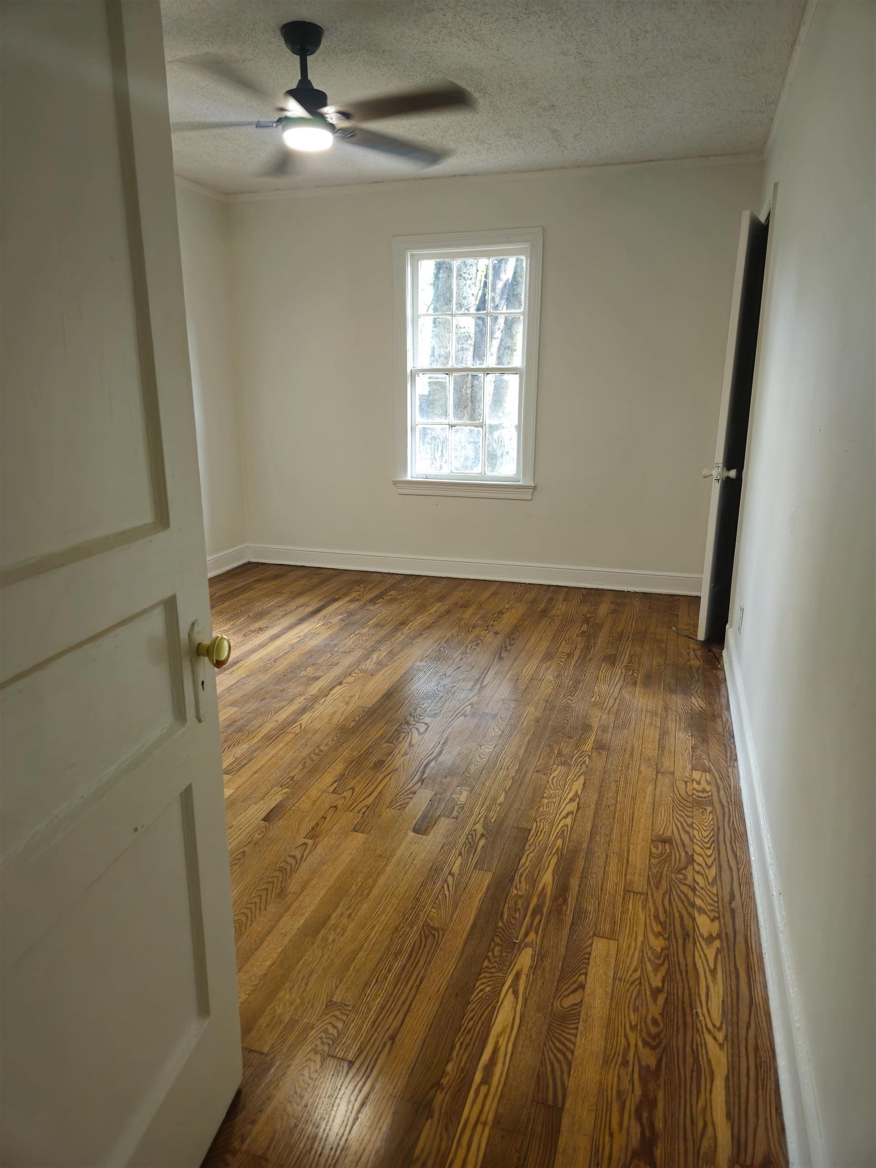 1096 Gordon St Property Photo 2