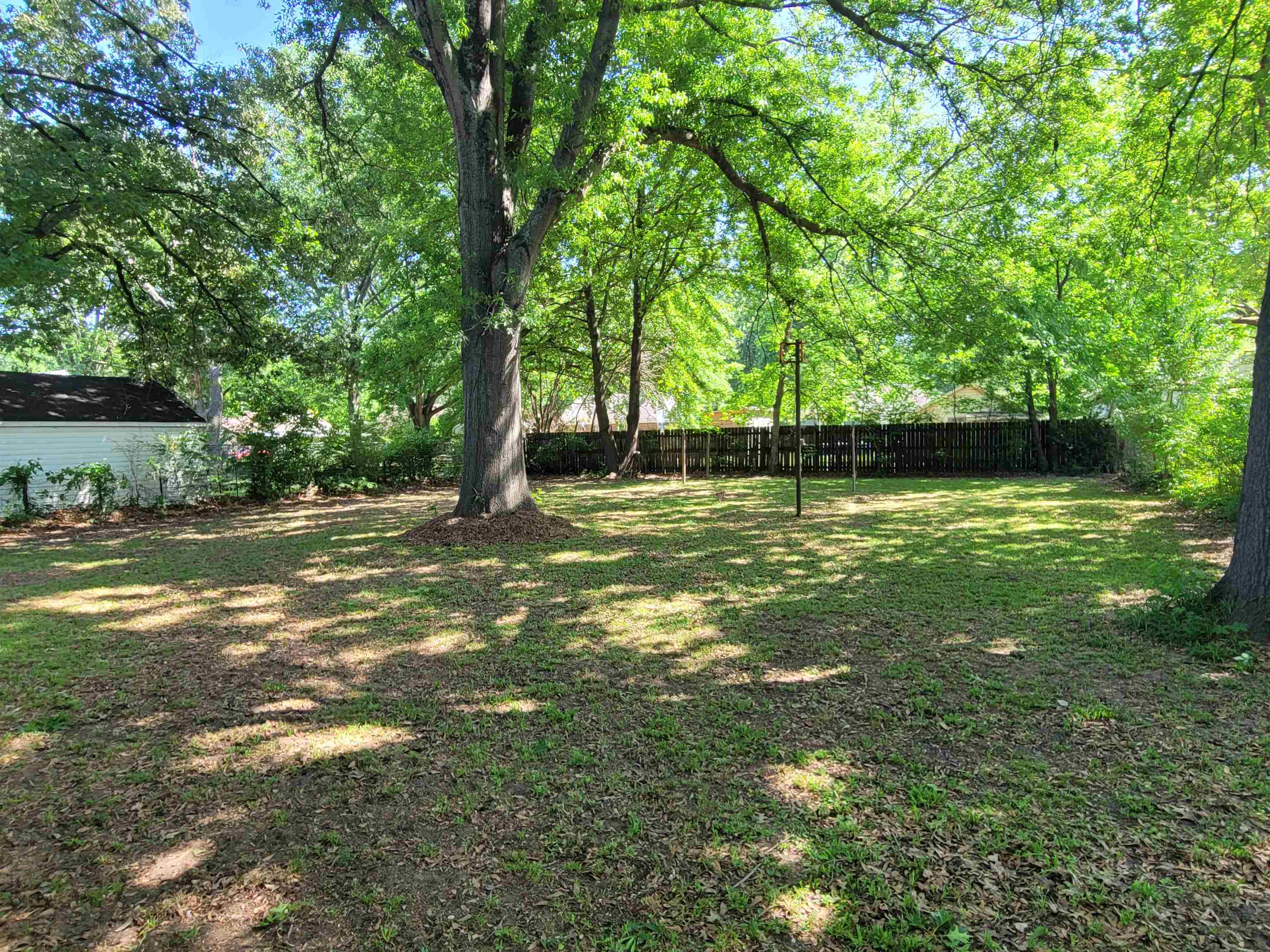 4033 Reenie Ave Property Photo 6
