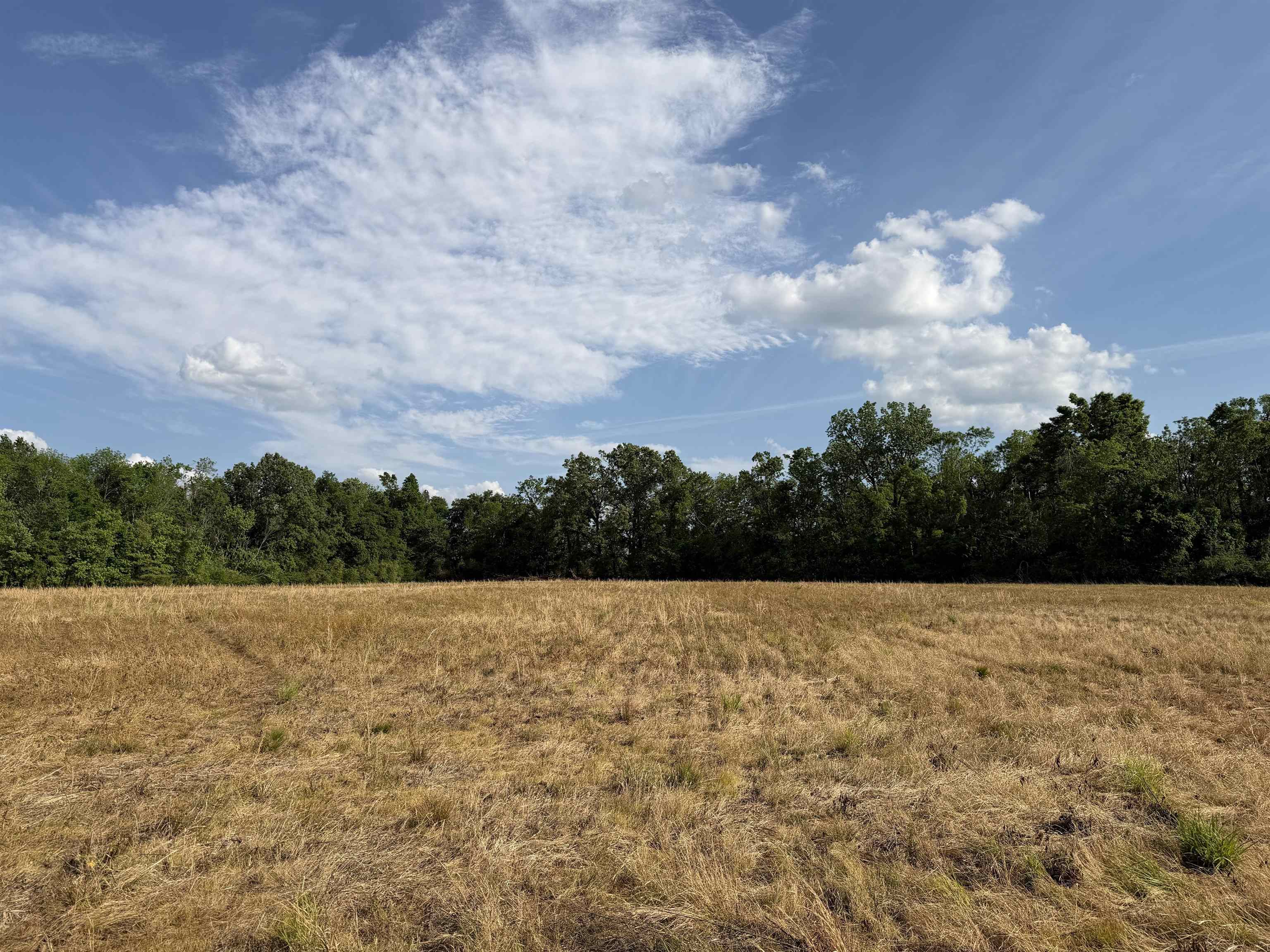 859 Cravens Rd Property Photo 38