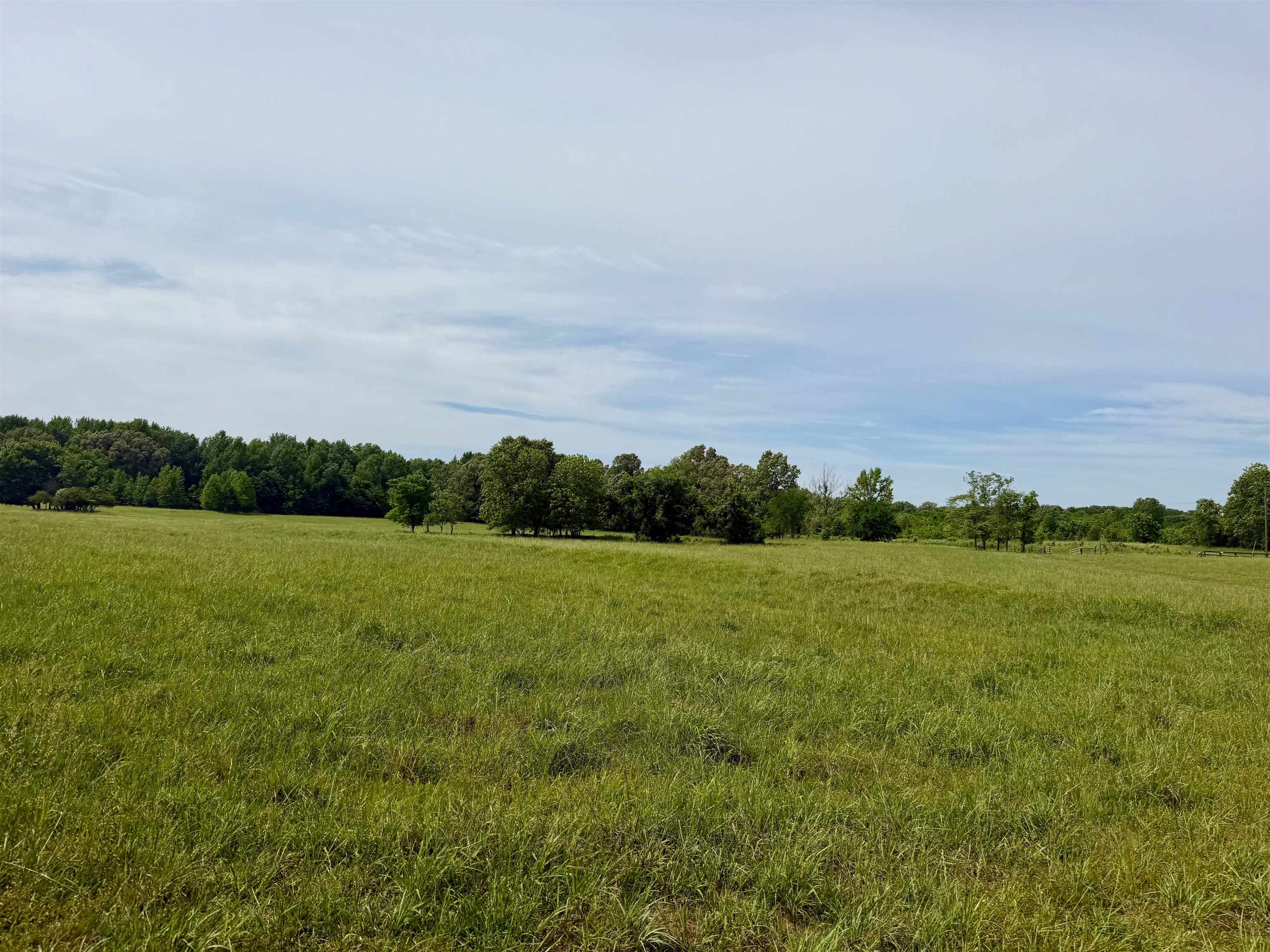 0 Mebane Rd Property Photo 4