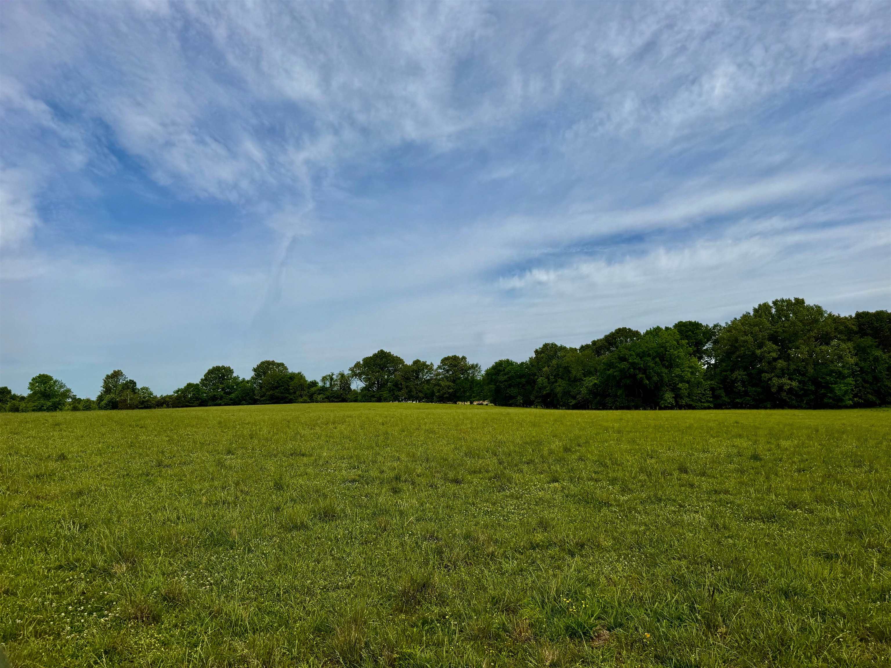 0 Mebane Rd Property Photo 7