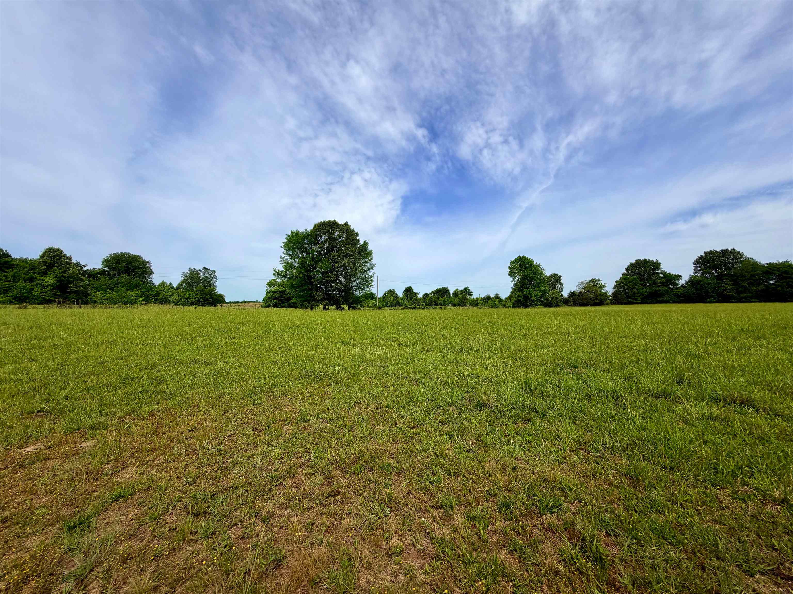 0 Mebane Rd Property Photo 11