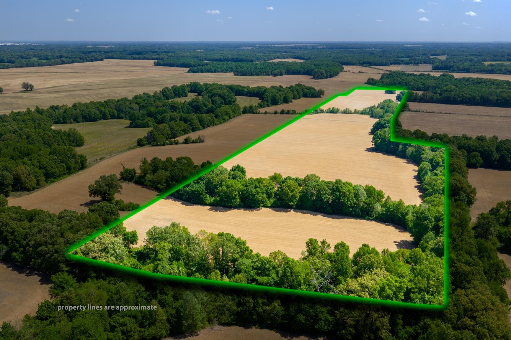 0 Boyland Way Property Photo 3