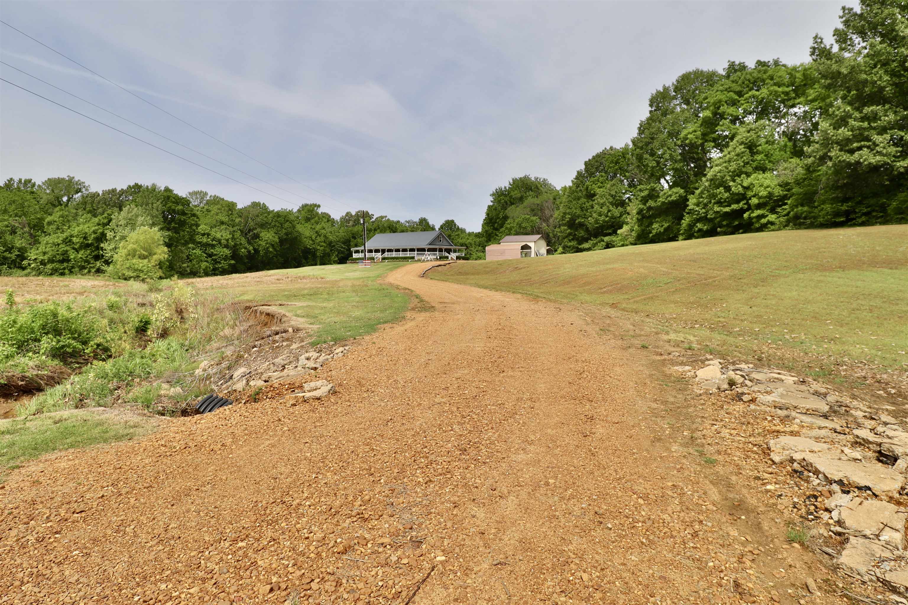 367 Junius Lee Rd Property Photo 4