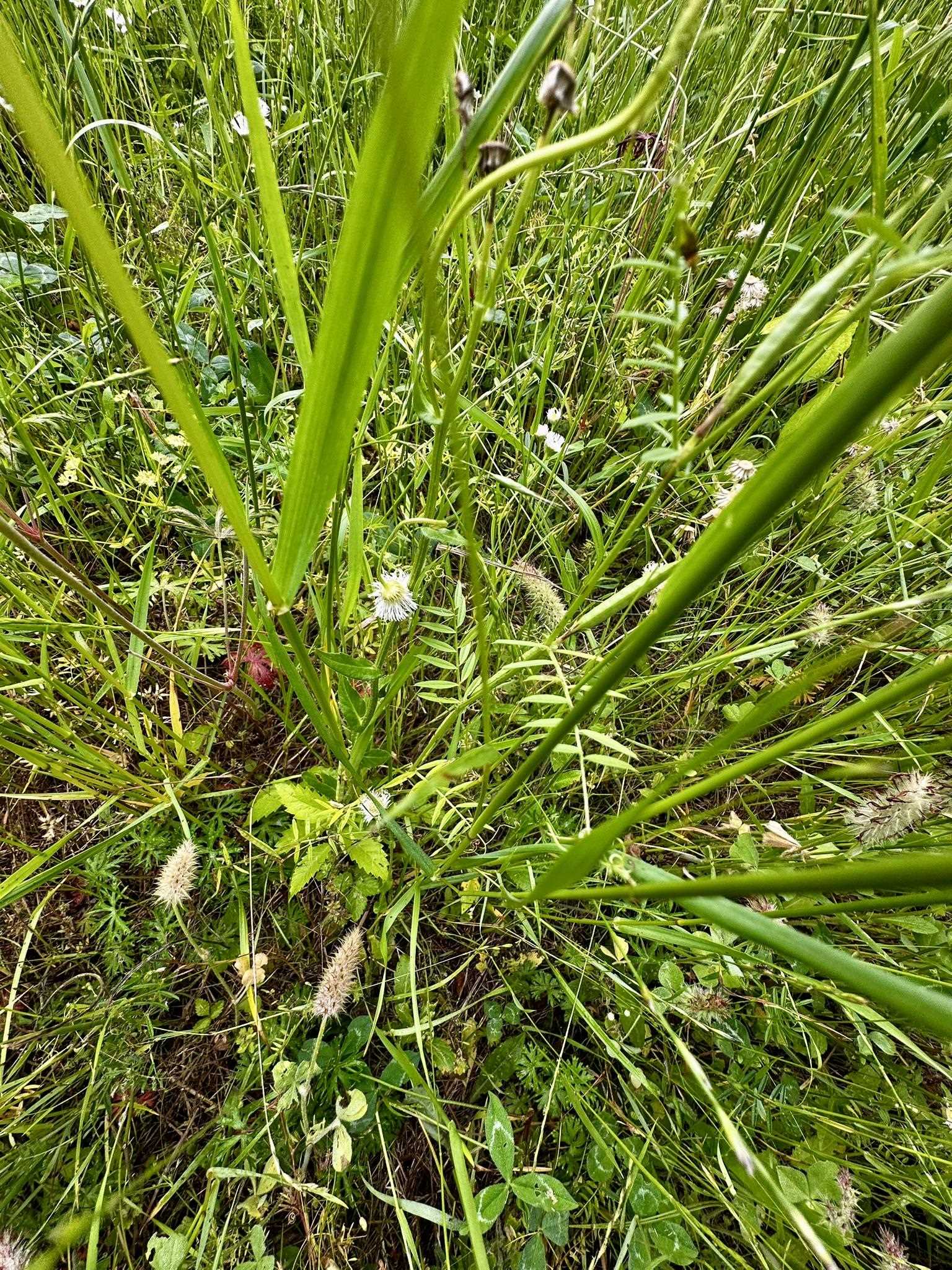 0 Moore Rd Property Photo 20