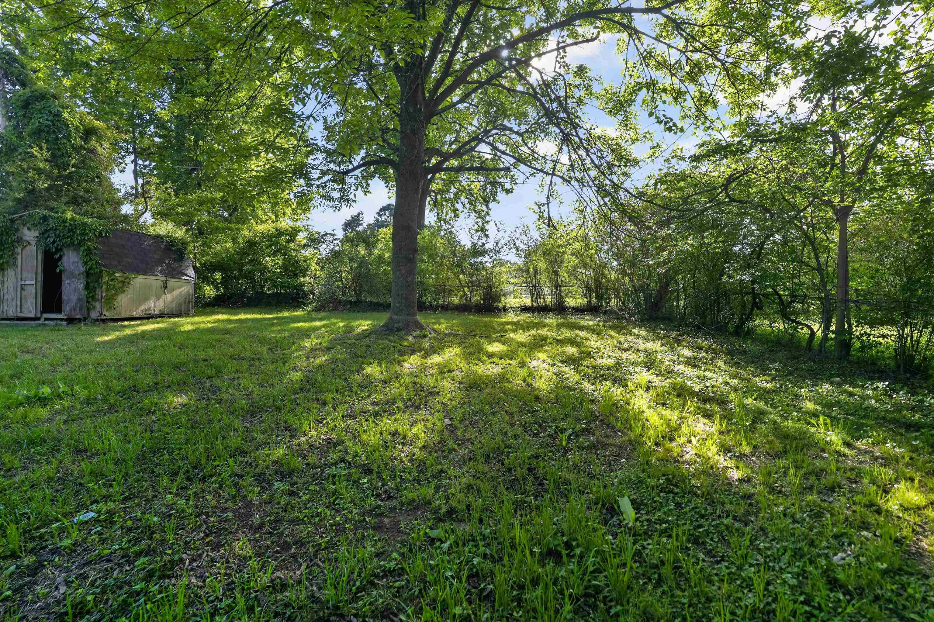 5124 Gill Rd Property Photo 4