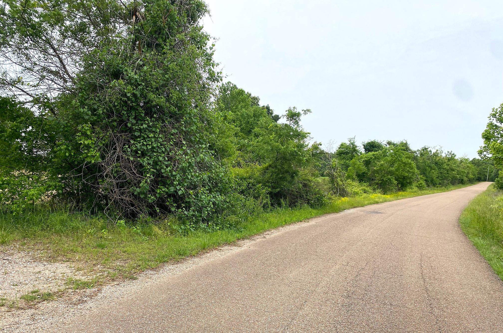 22 S Hwy Property Photo 15
