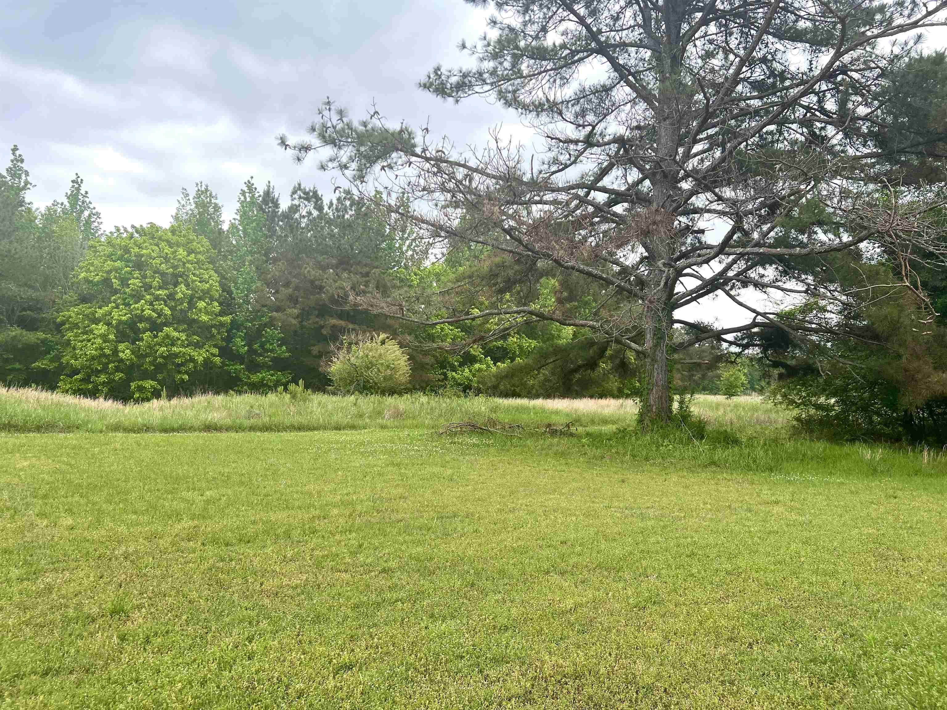 575 Golf Dr Property Photo 16
