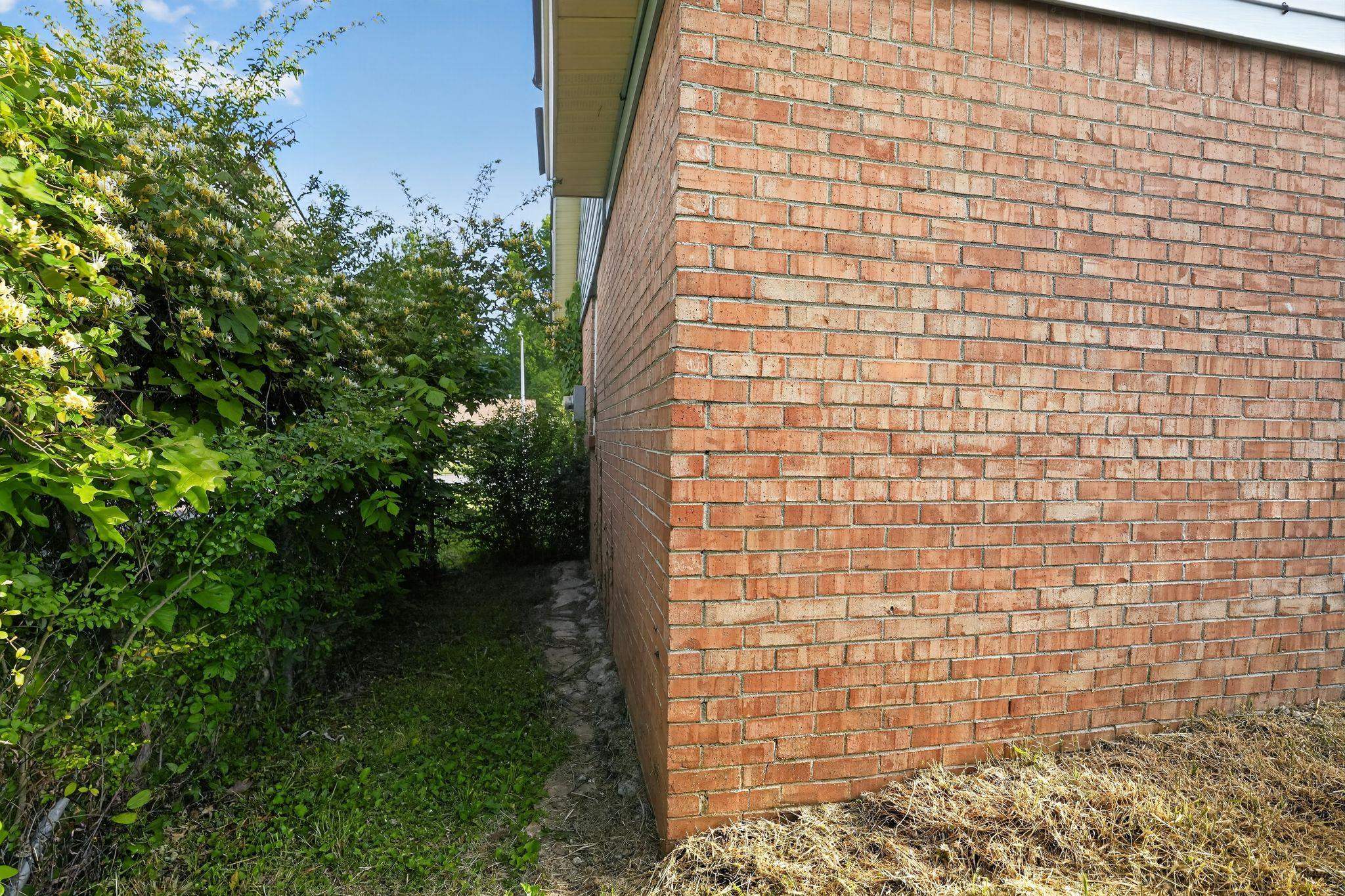 19 Lydgate Ave Property Photo 34