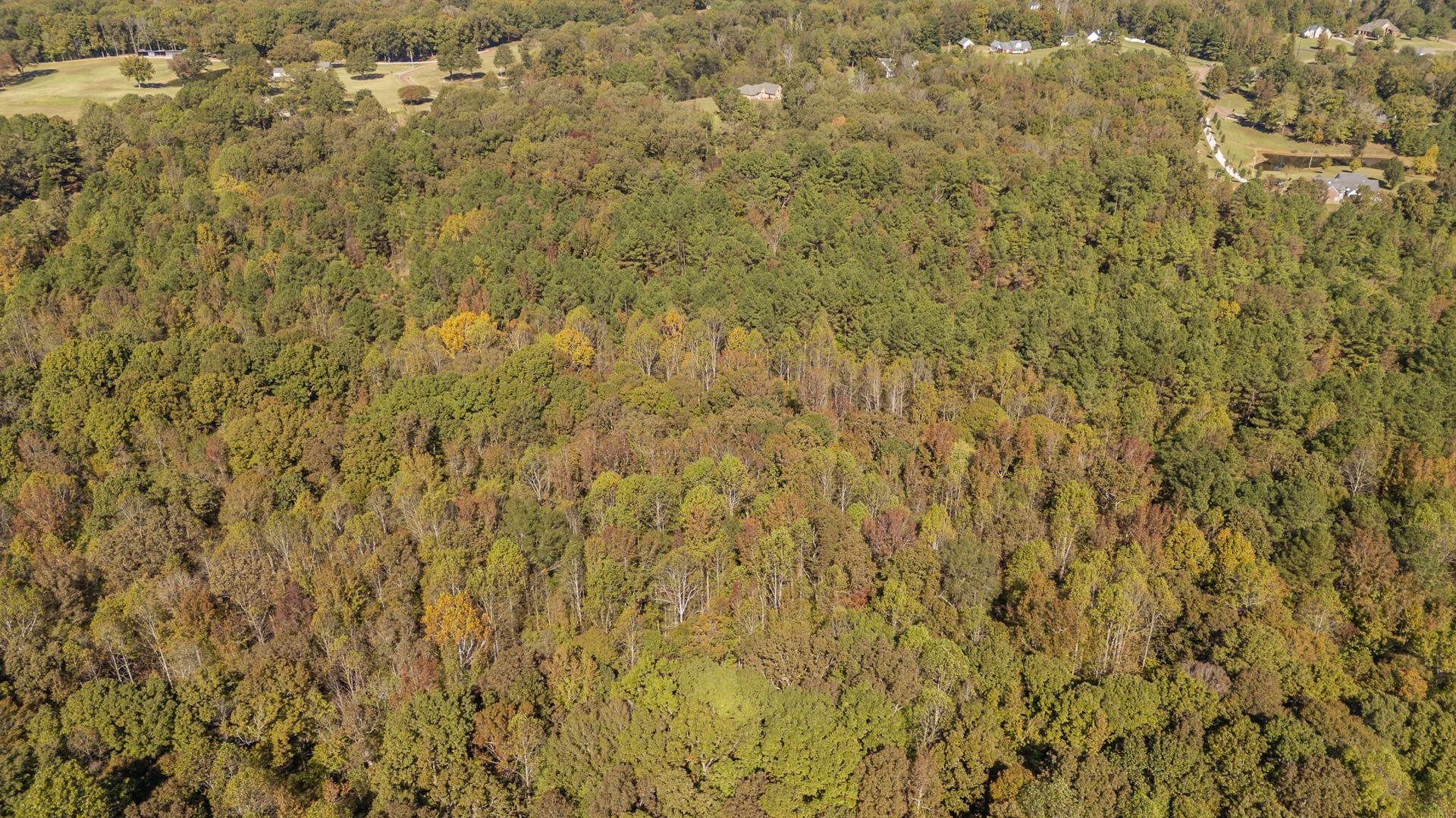 0 Clifftview Rd Property Photo 22