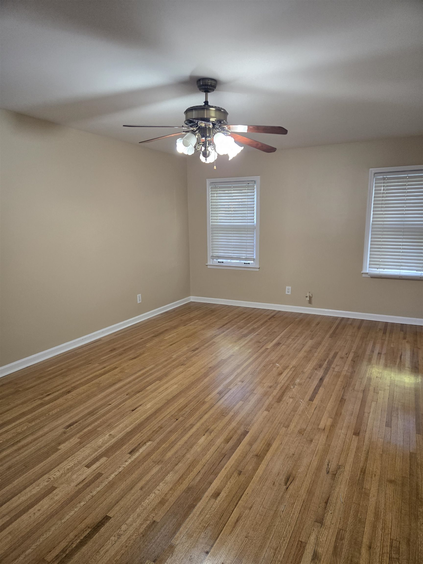 3212 Whitney Ave Property Photo 5
