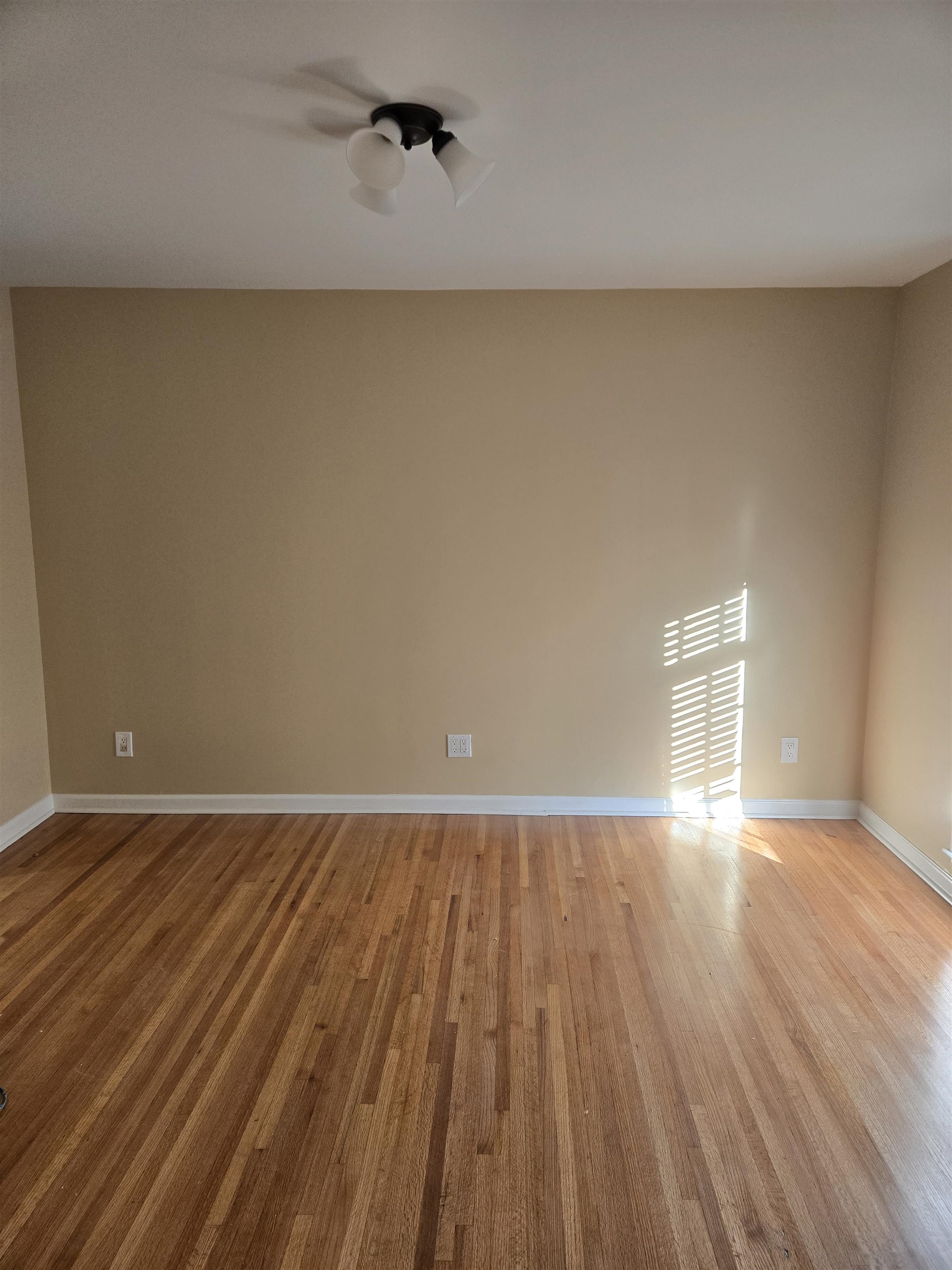 3212 Whitney Ave Property Photo 7
