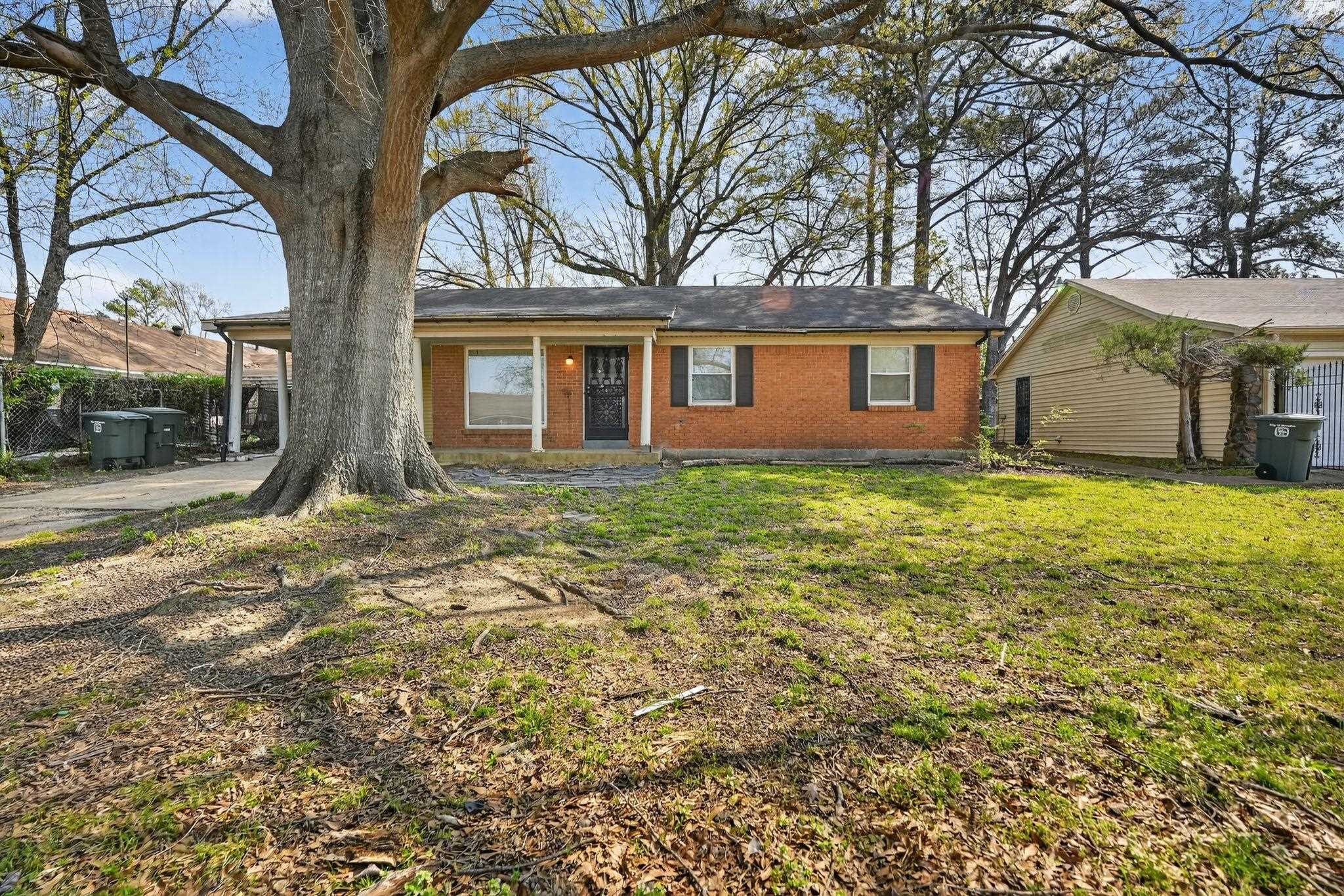 4378 Hawkeye St Property Photo 4