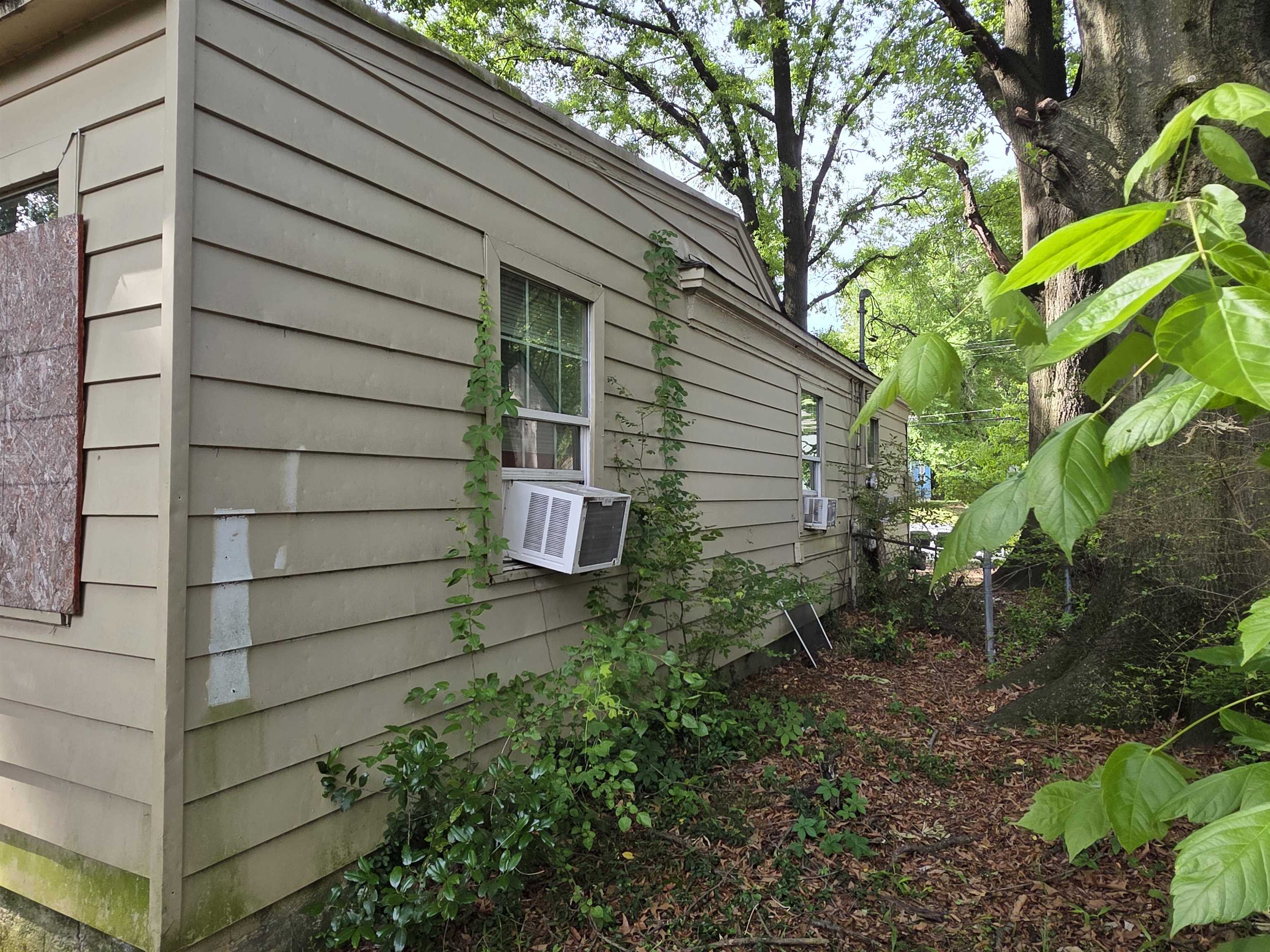 3372 Buchanan Ave Property Photo 3