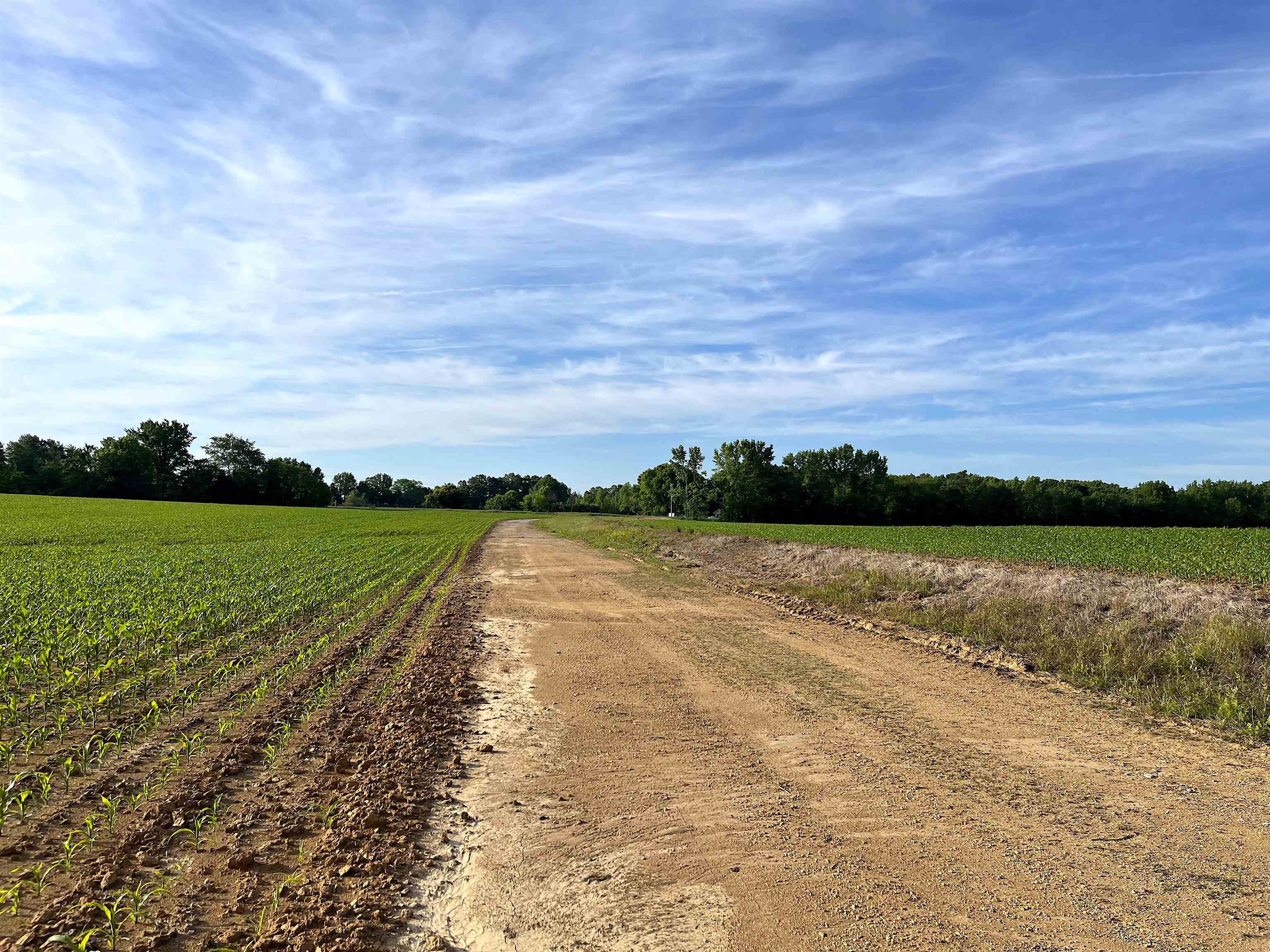 11385 18 Hwy Property Photo 4