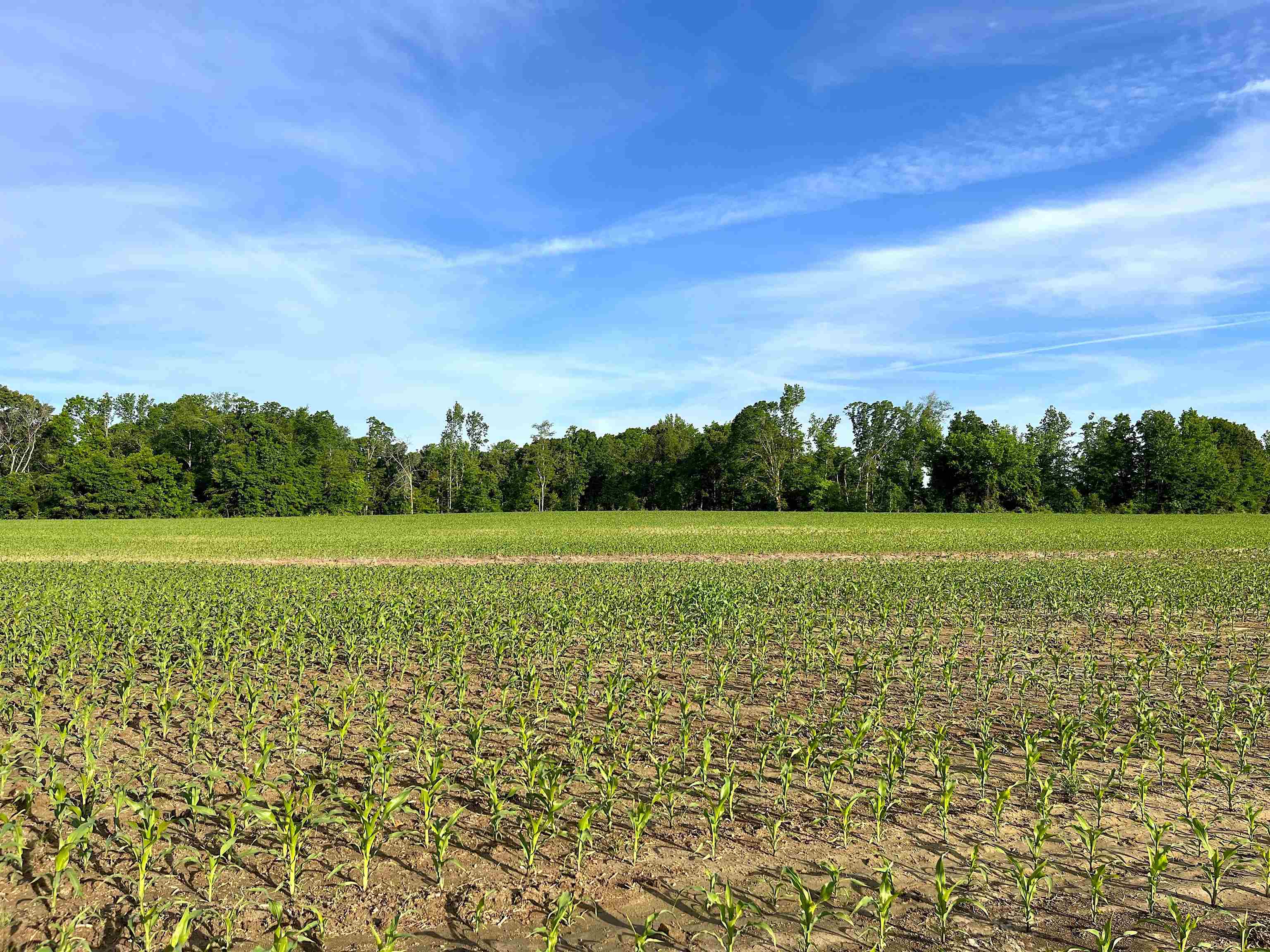 11385 18 Hwy Property Photo 6