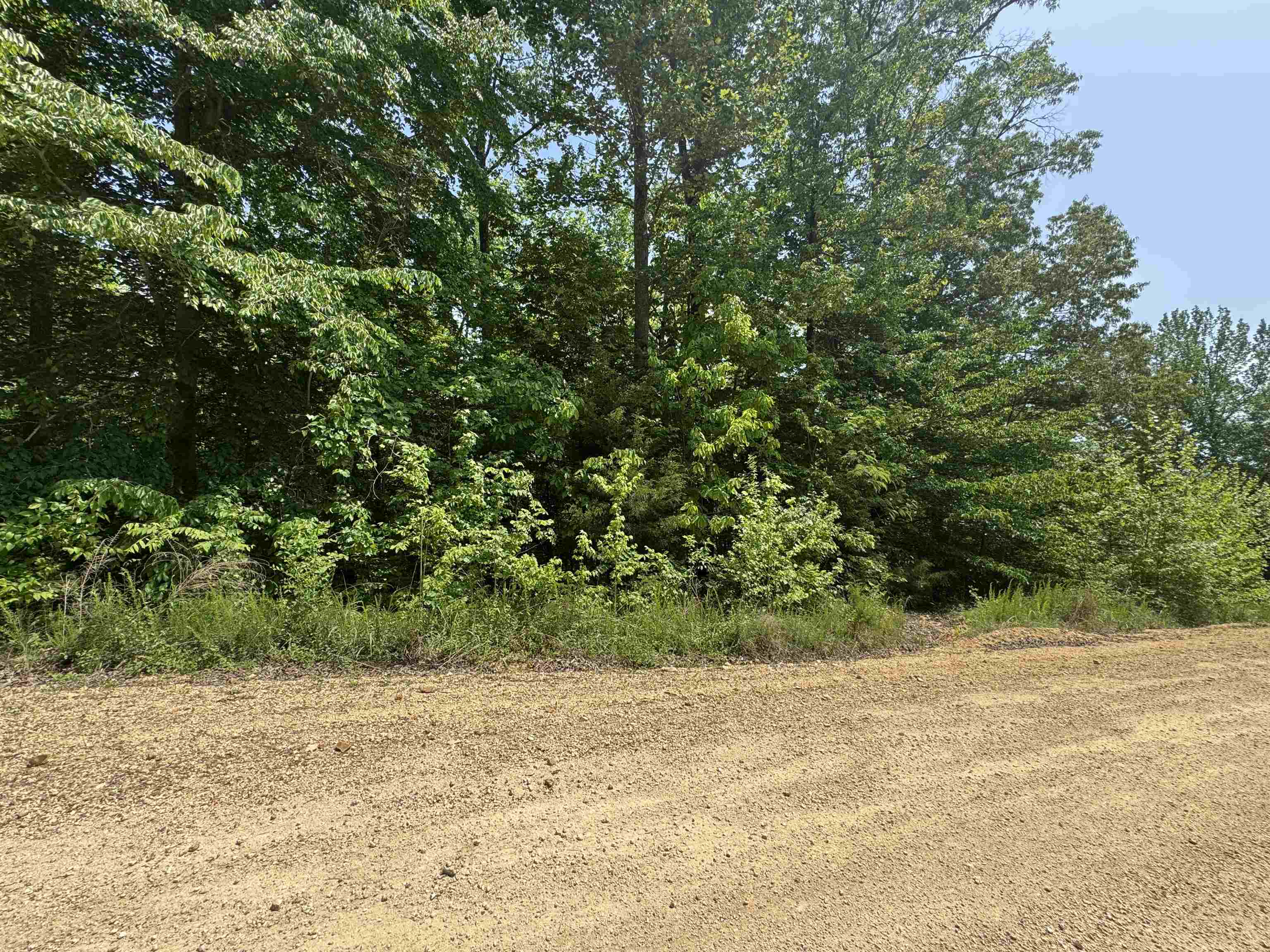 00 Younger Hollow Cemetery Rd Property Photo 1