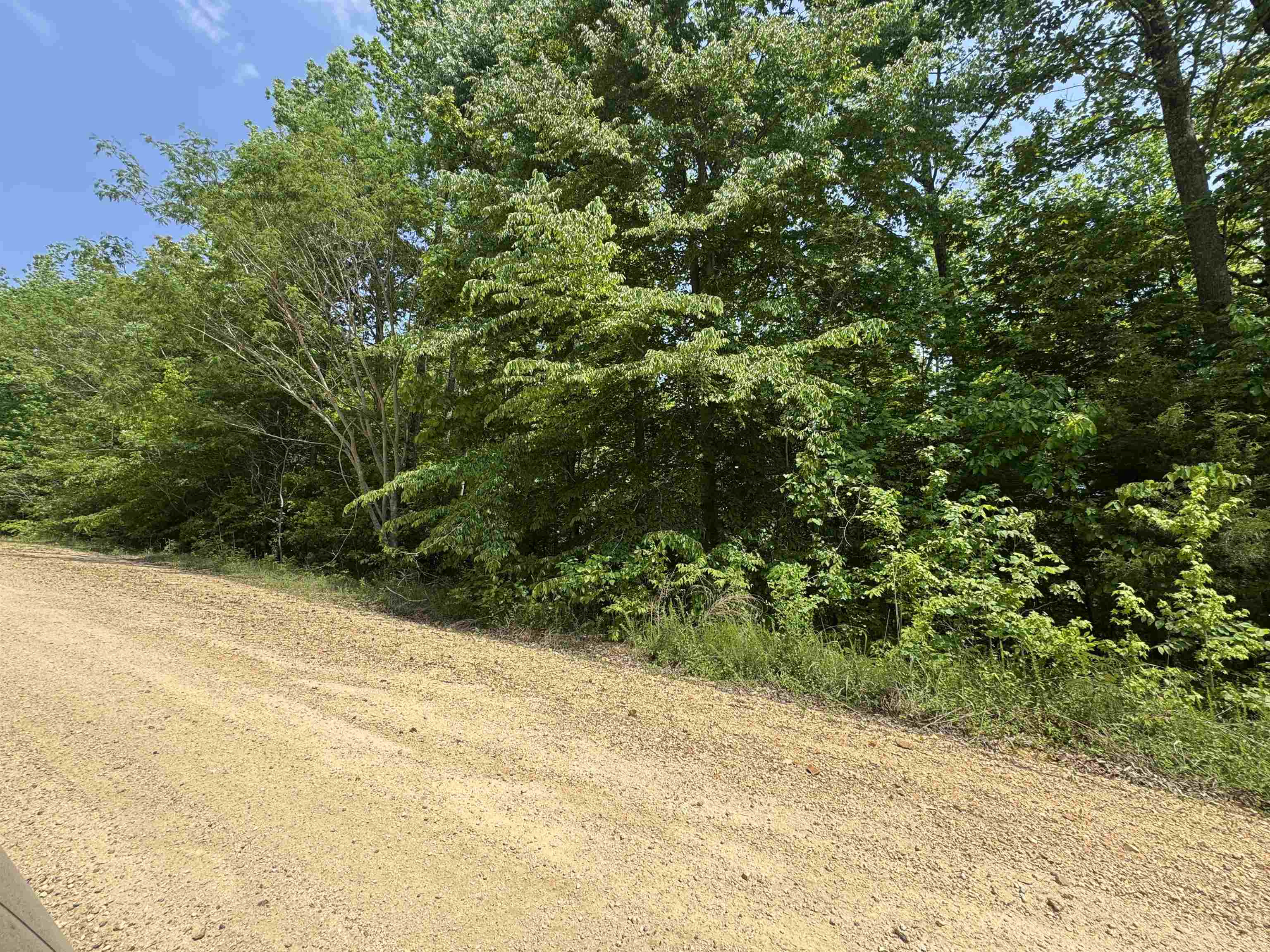 00 Younger Hollow Cemetery Rd Property Photo 2