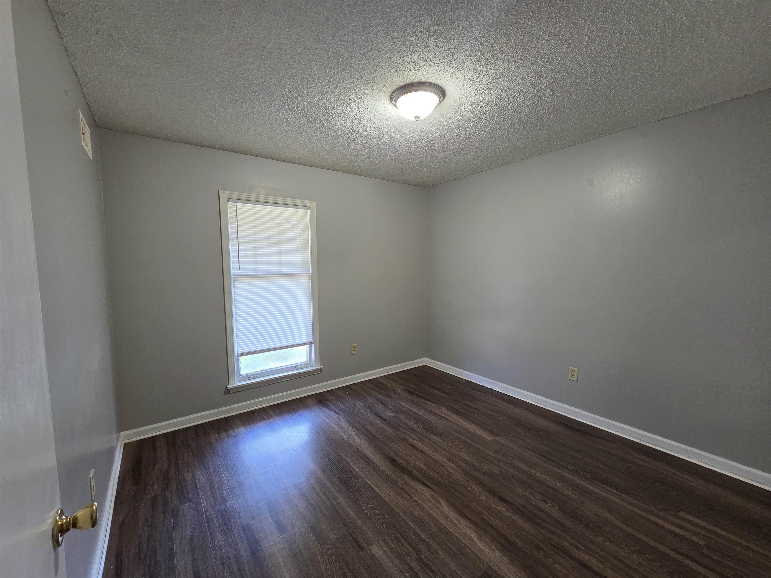 4573 Appleville St Property Photo 8
