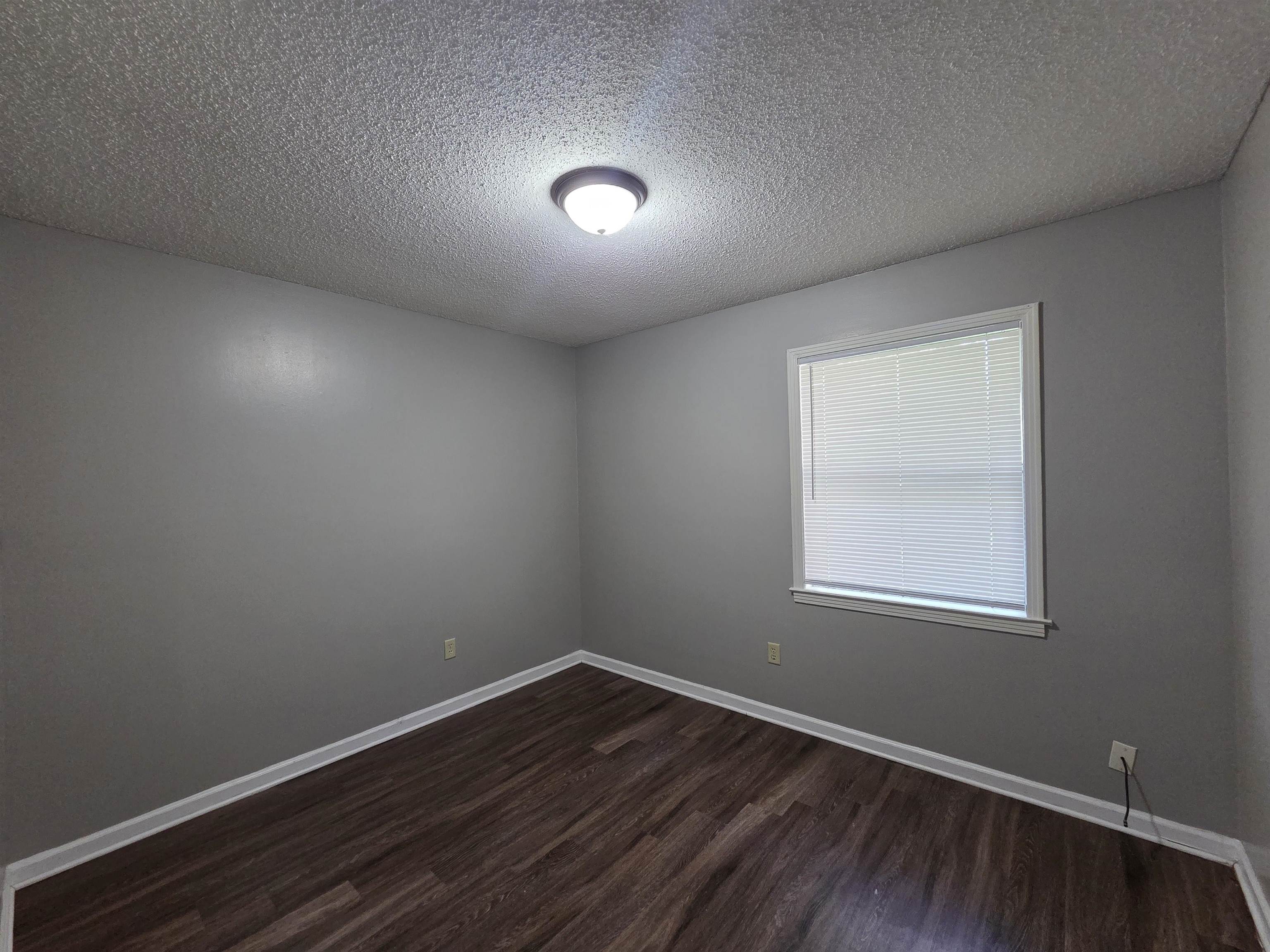 4573 Appleville St Property Photo 9