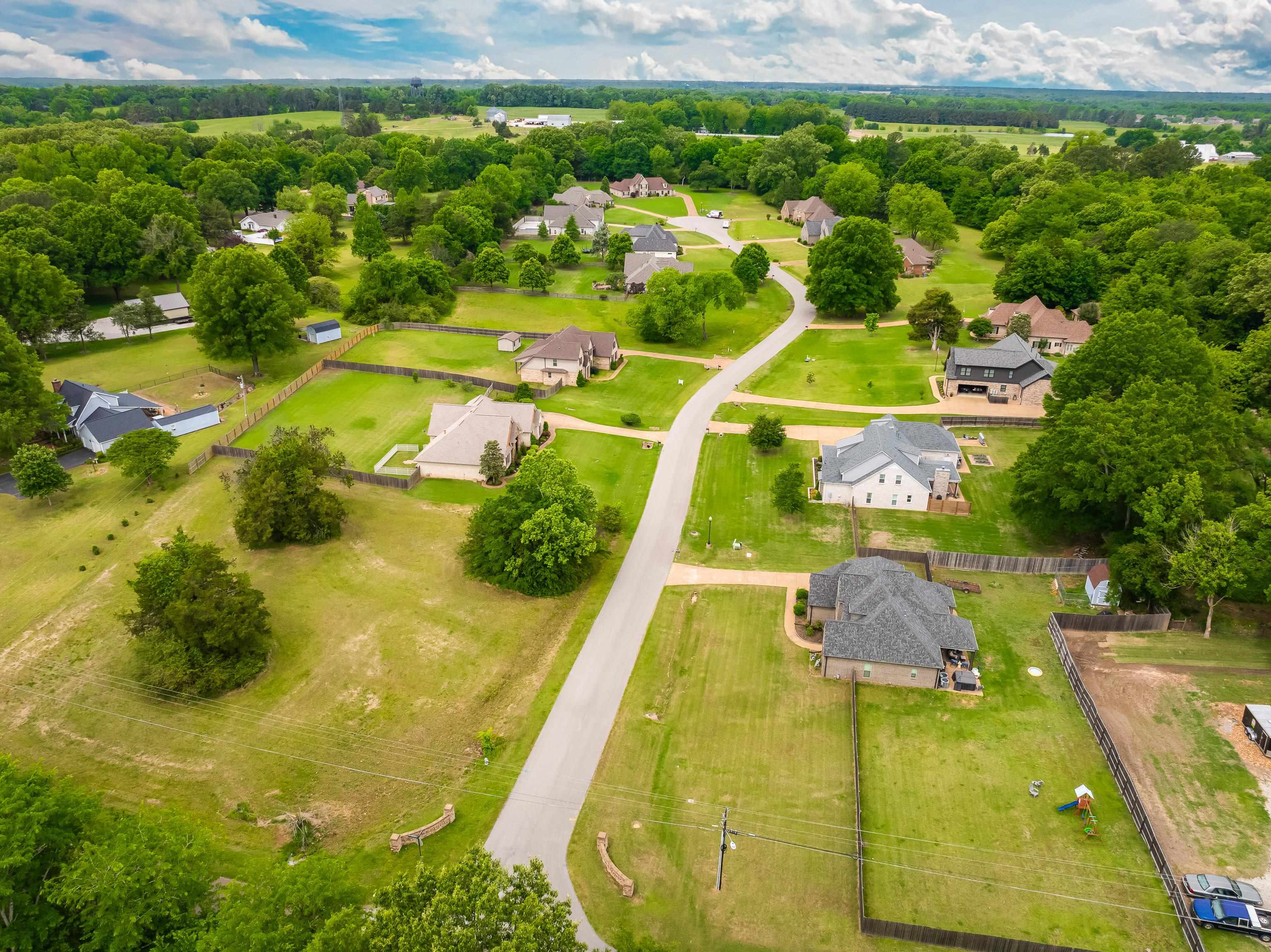 115 Cedar Hill Cv Property Photo 6